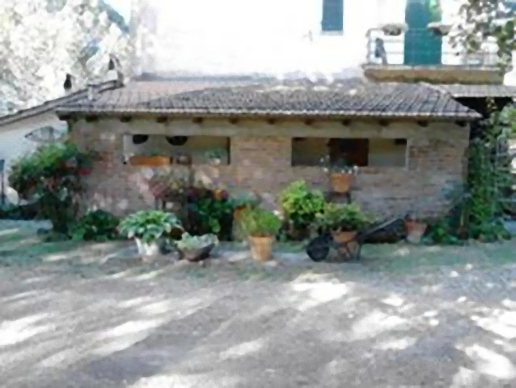 Garden in Campo alle Monache