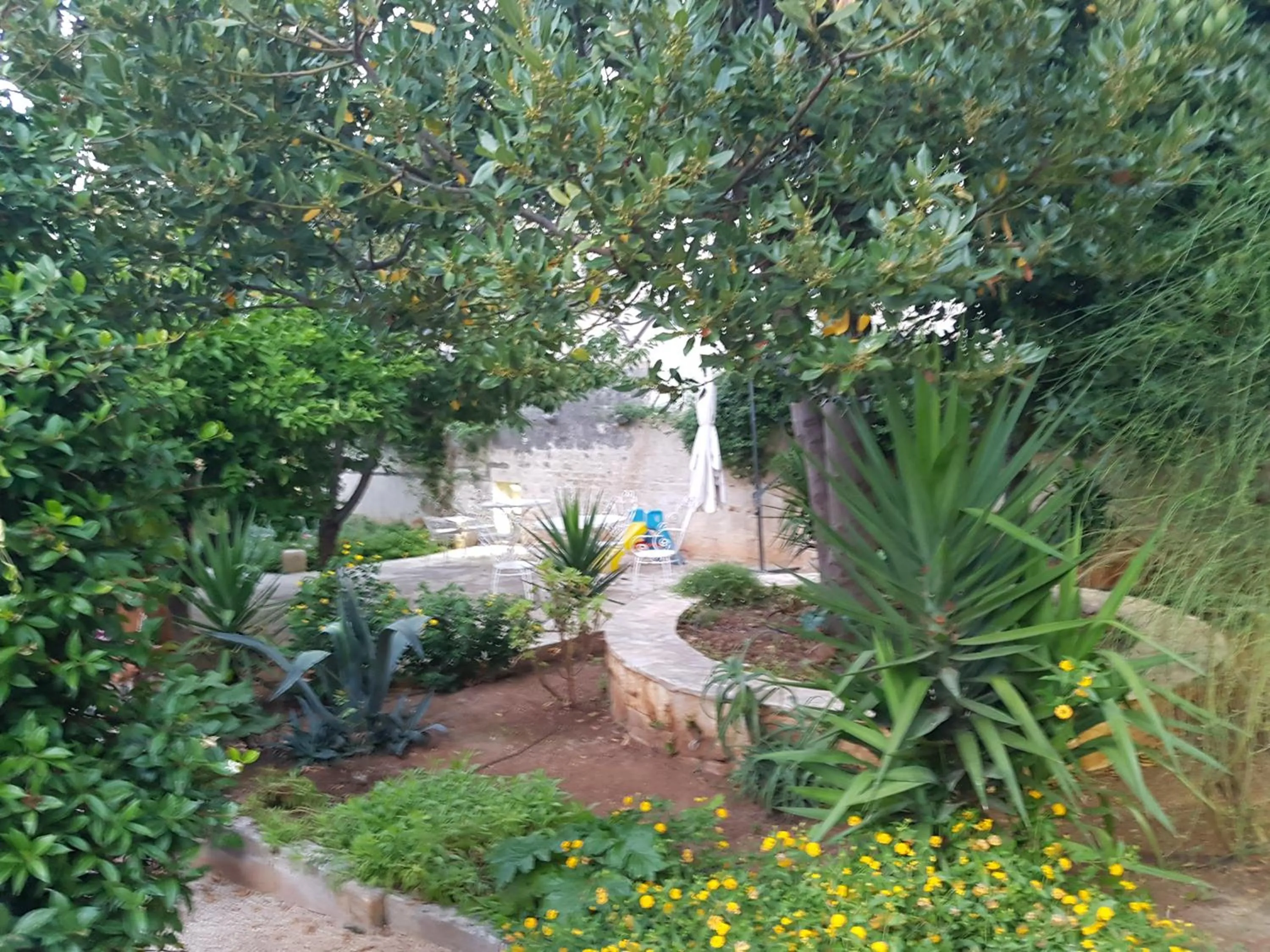 Day in Palazzo Rodio