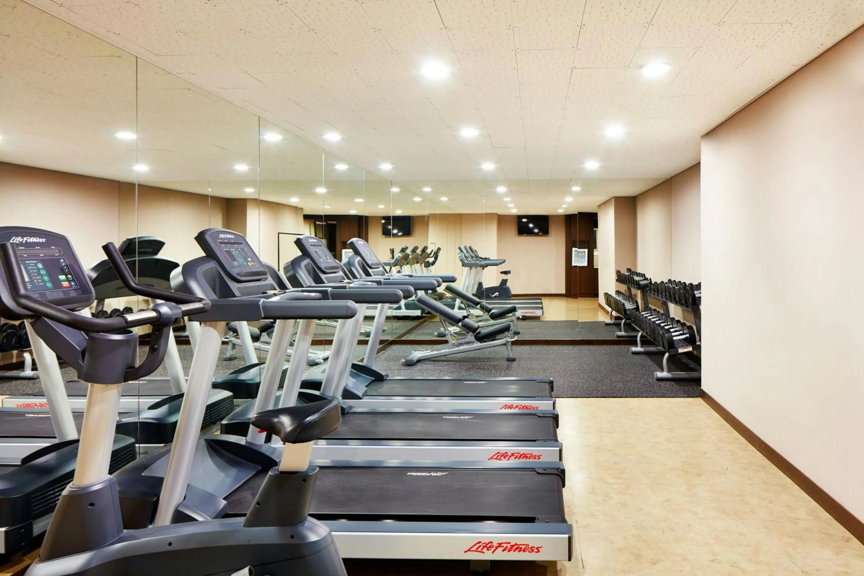 Fitness centre/facilities in Four Points by Sheraton Josun, Seoul Station