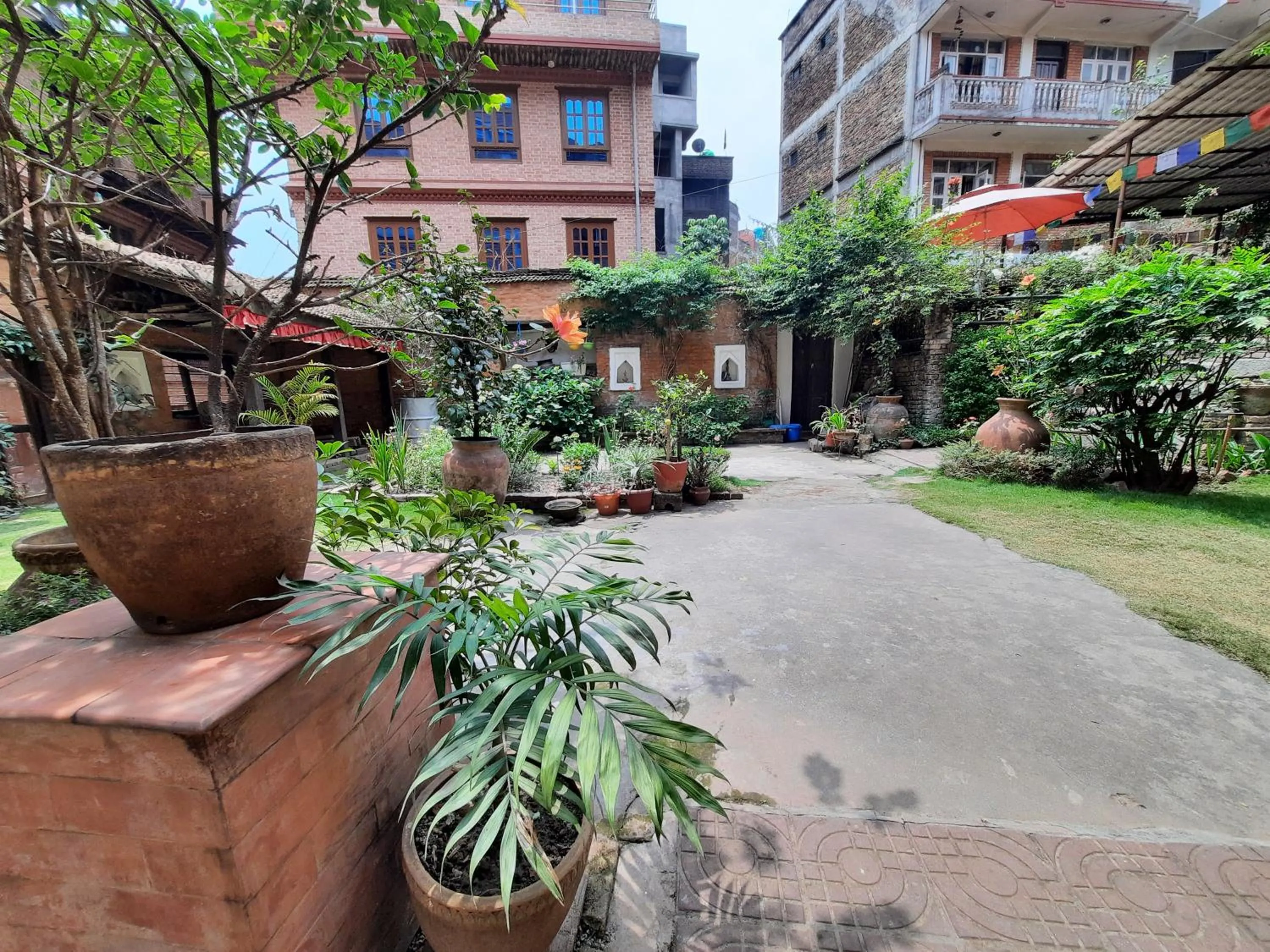 Garden in Pradhan House - Home Stay with Garden