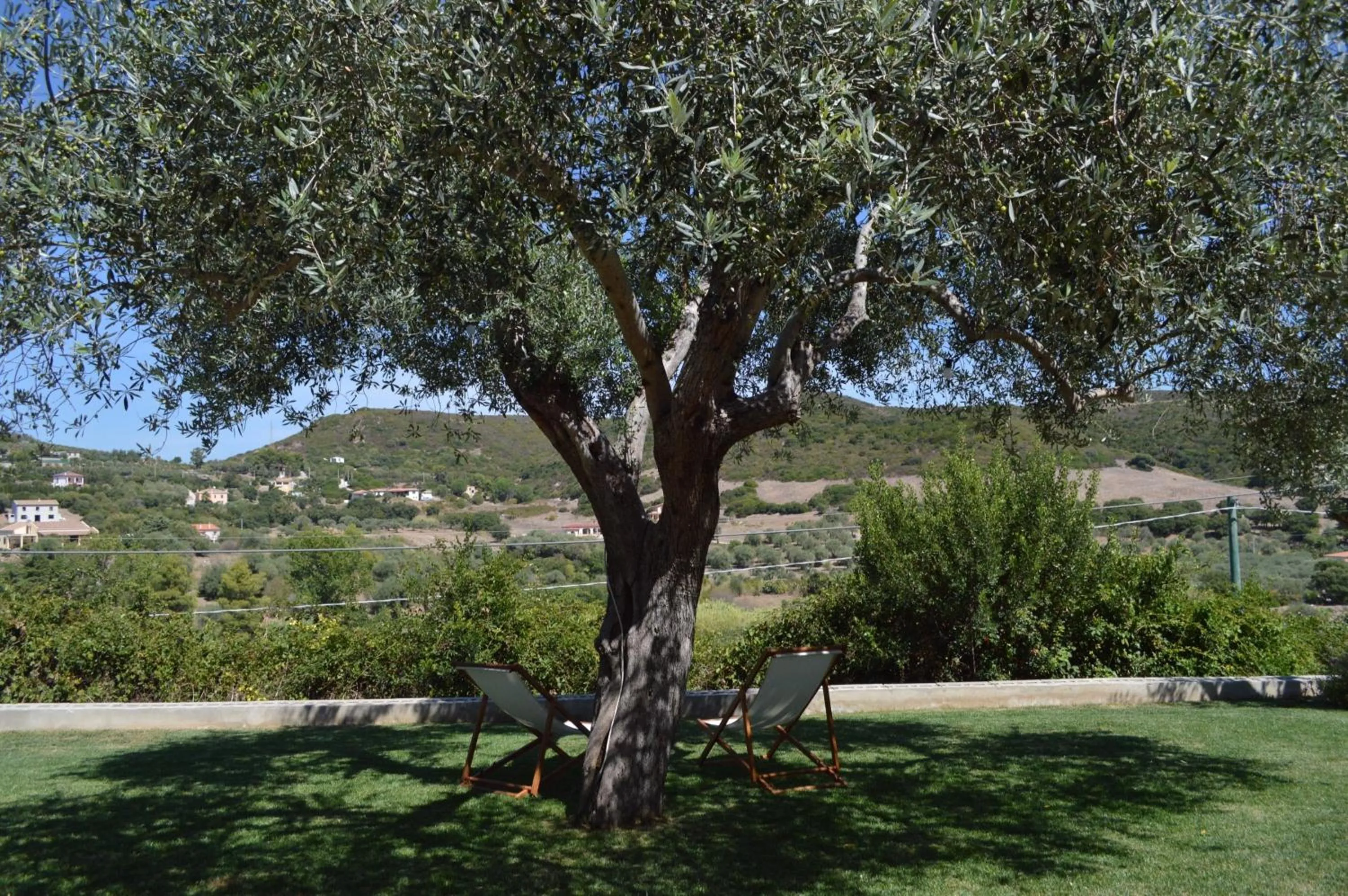 Garden in B&B Kapì Country