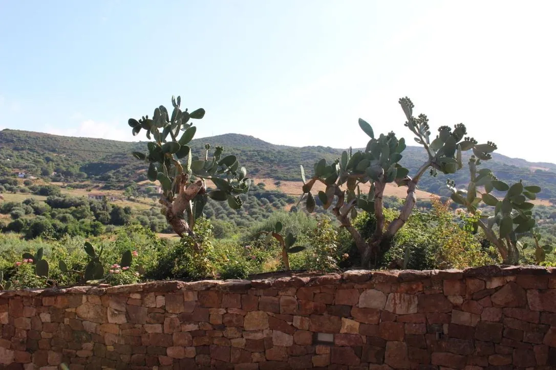 Garden in B&B Kapì Country