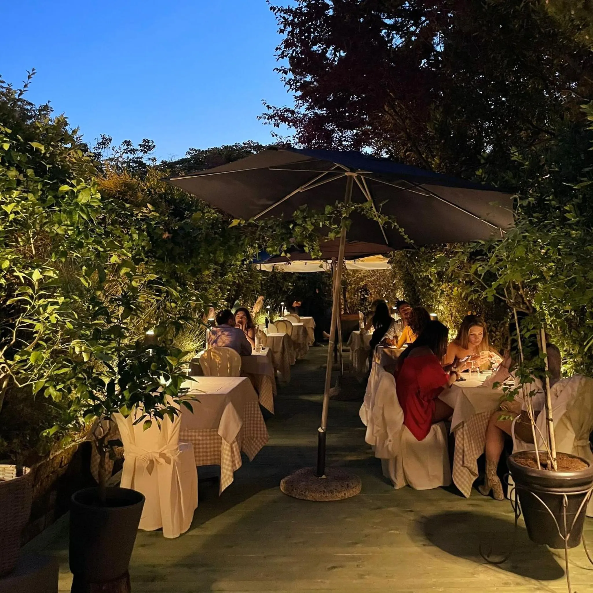 Restaurant/places to eat in Quel Castello di Diegaro