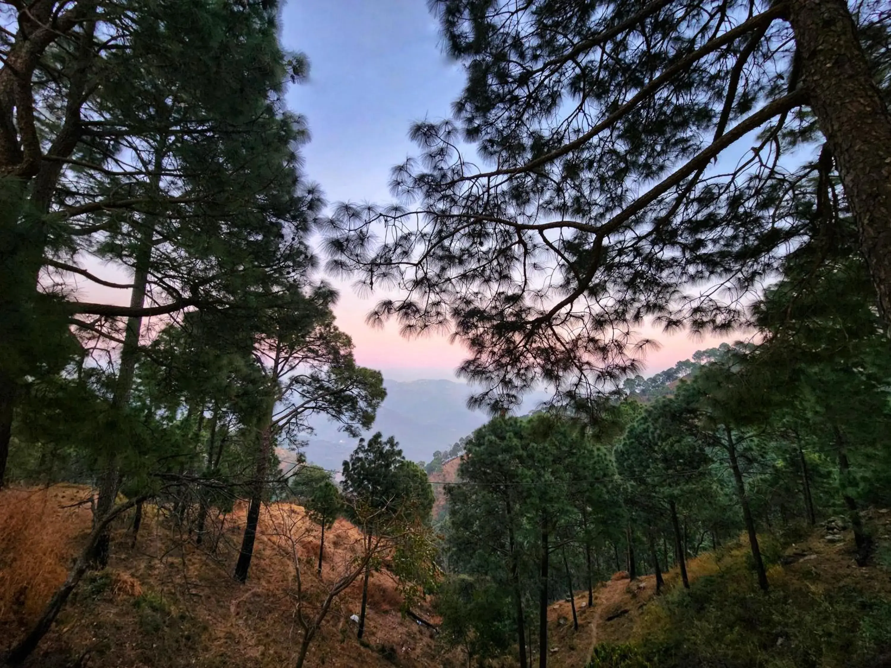 View (from property/room) in The Hamilton Kasauli View (from property/room) in The Hamilton Kasauli