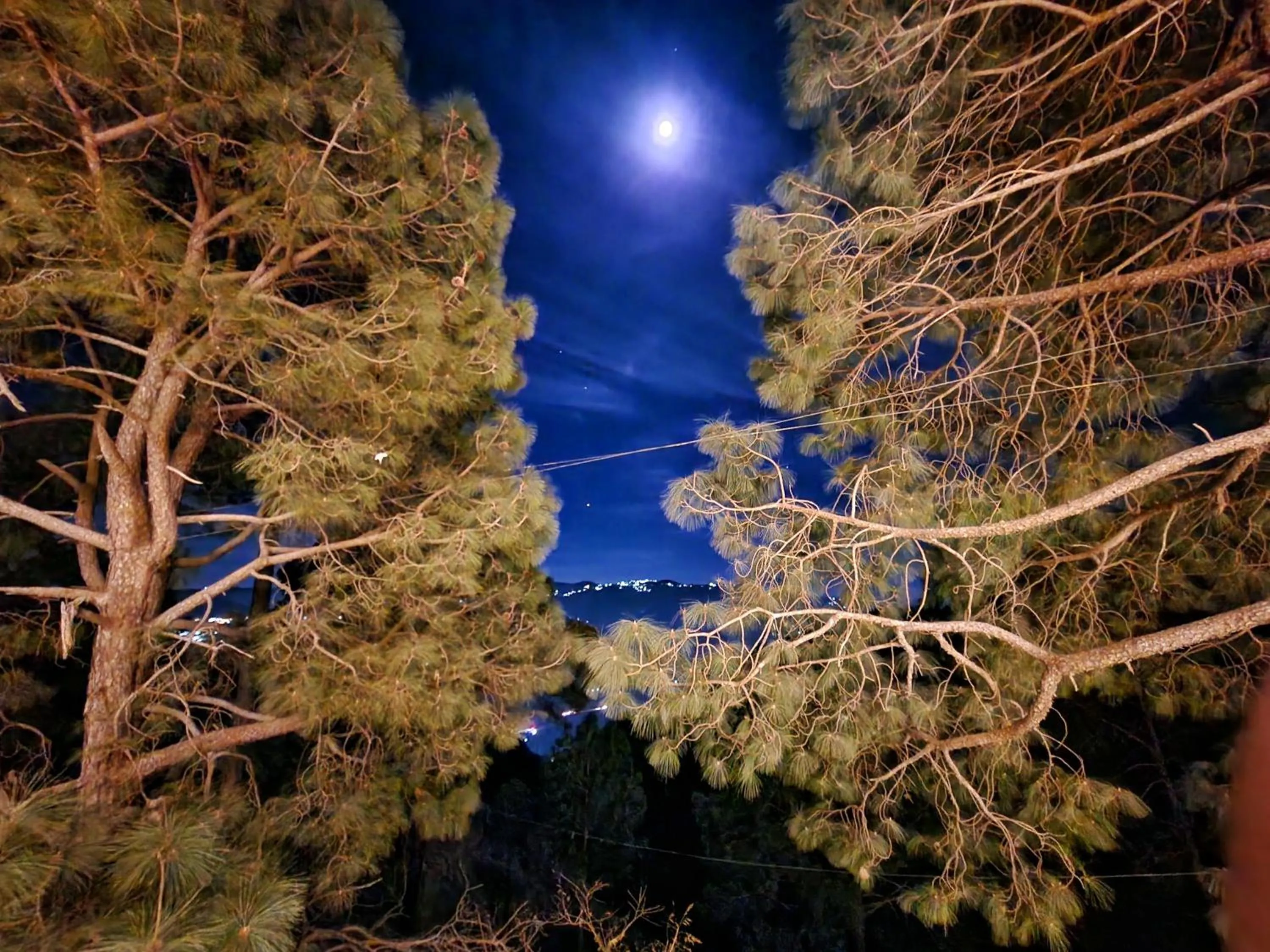 Night in The Hamilton Kasauli