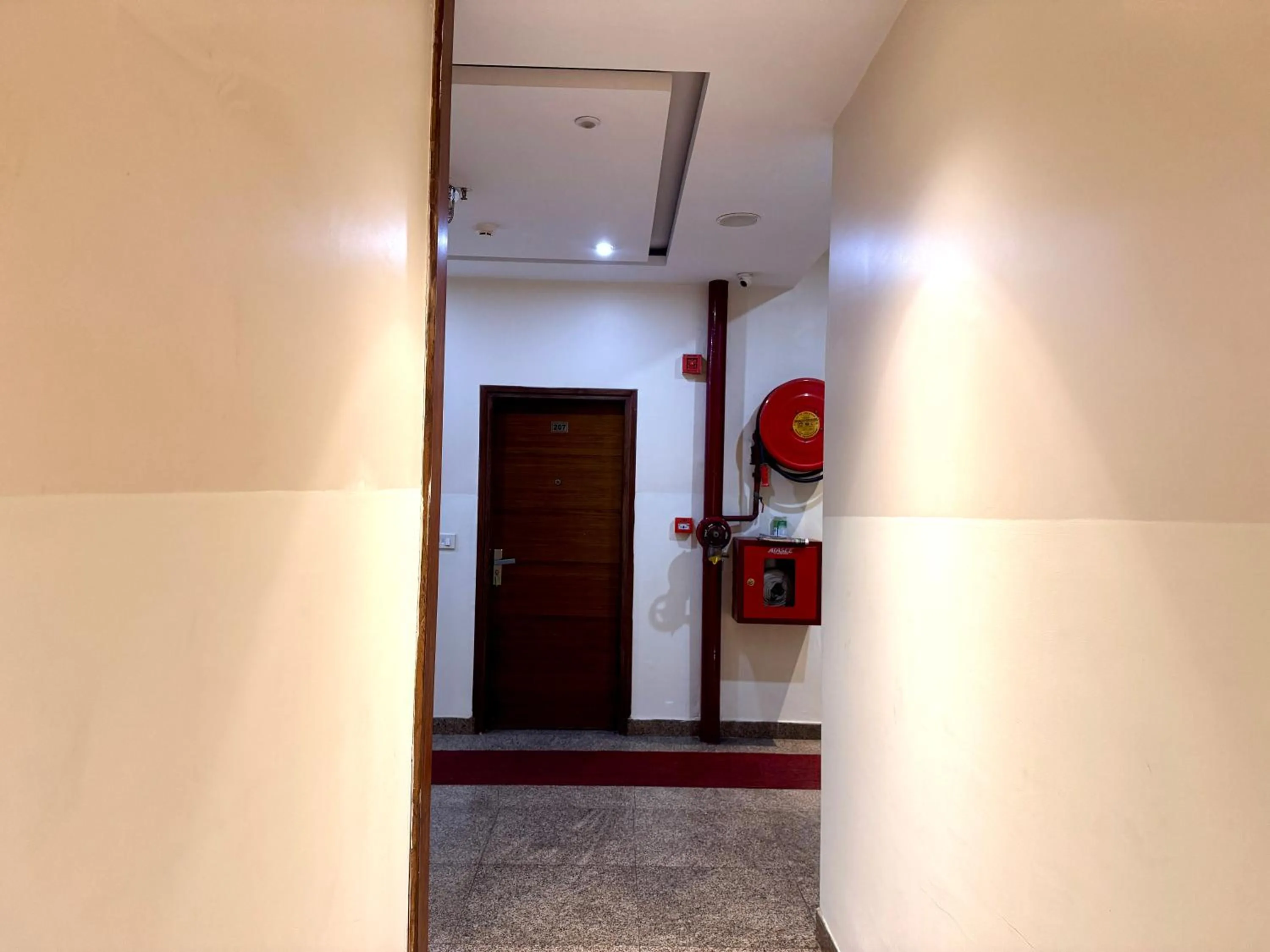 fireplace in Hotel Bahl Regency