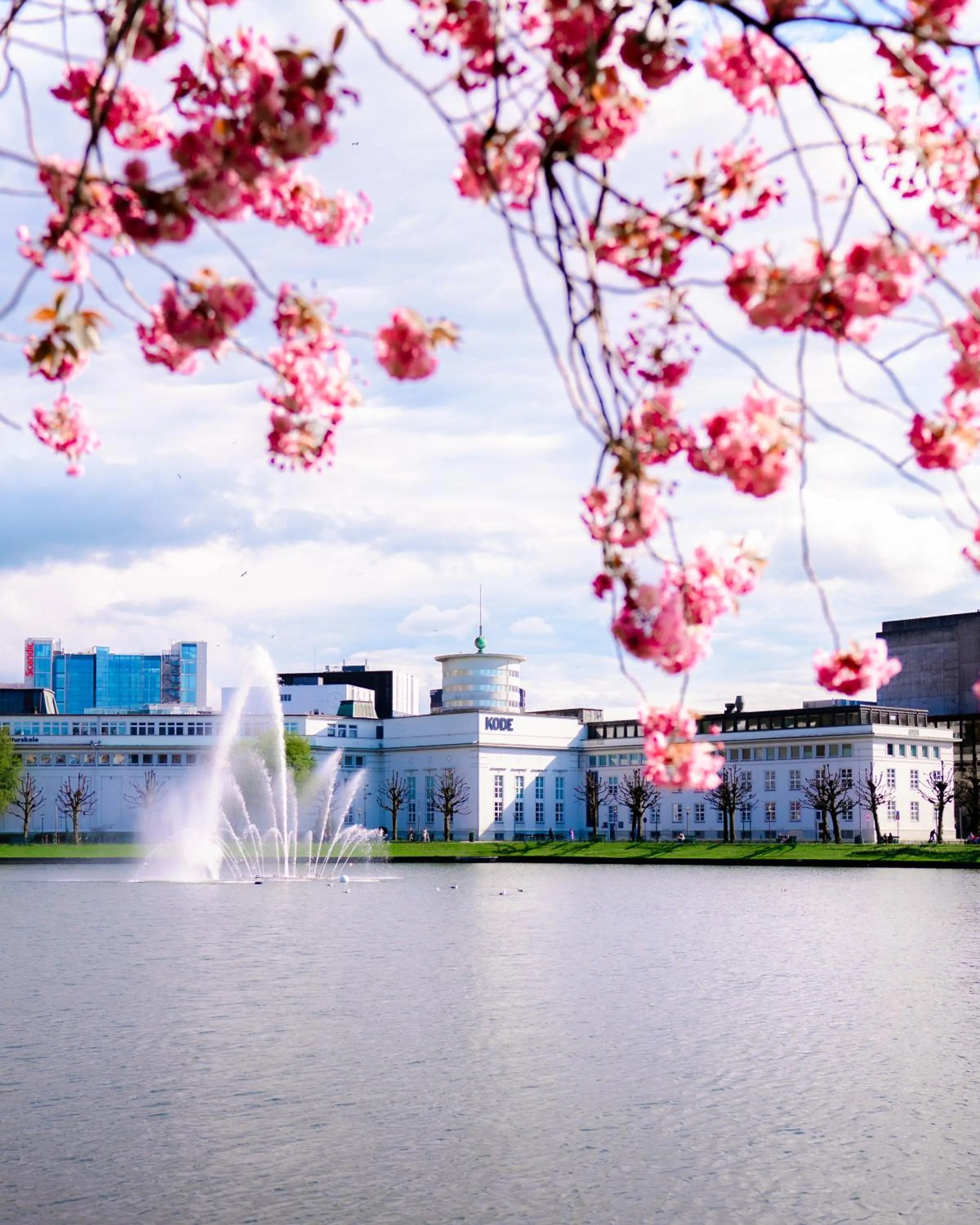 Spring in Hotel Oleana