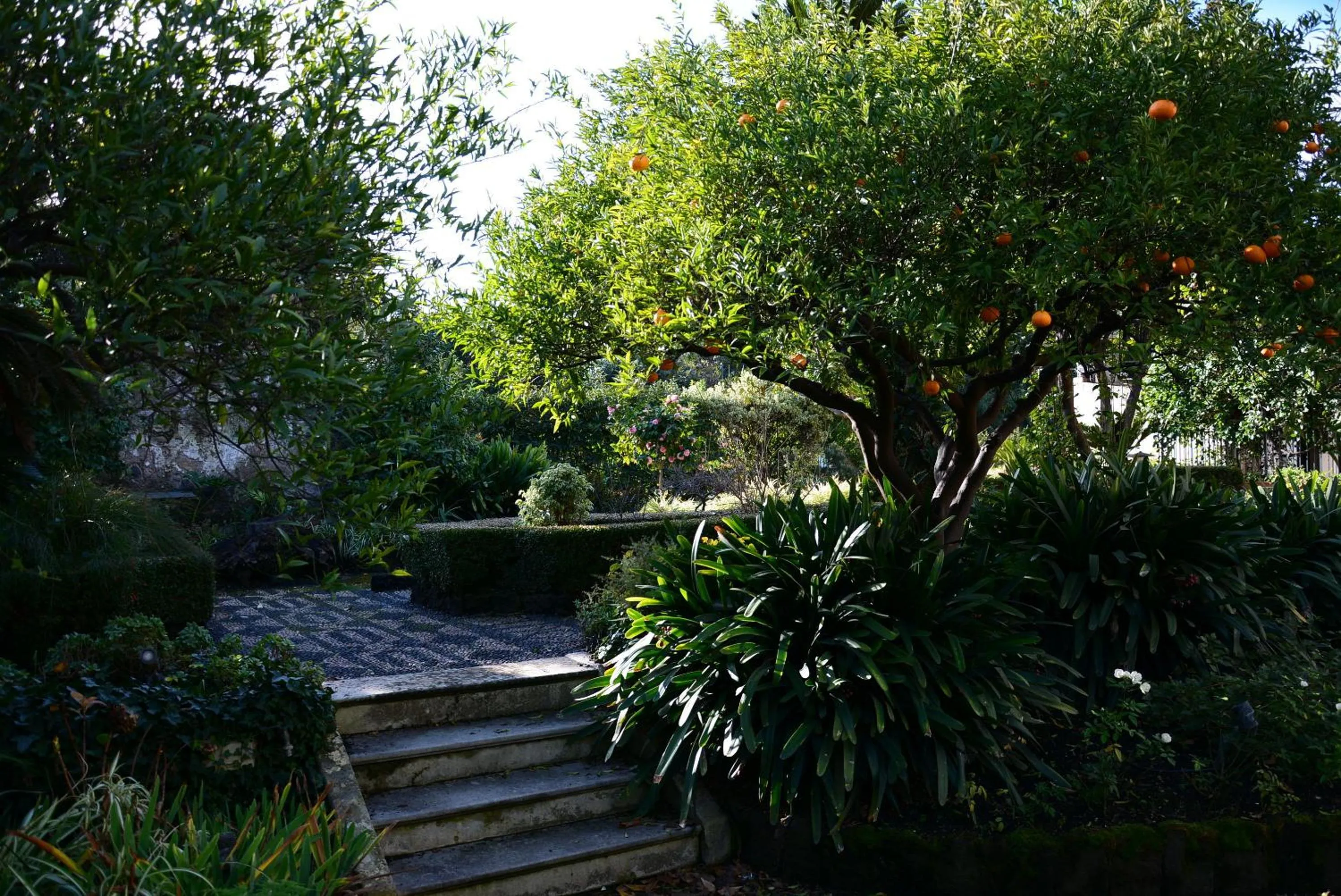 Garden in B&B Villa Maria