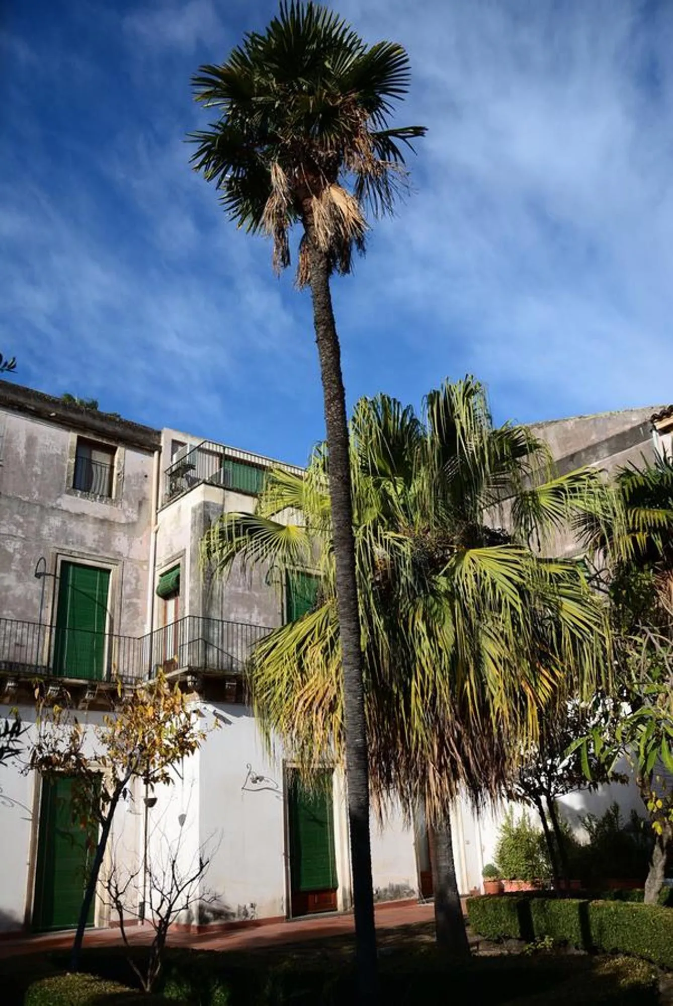 Garden view in B&B Villa Maria