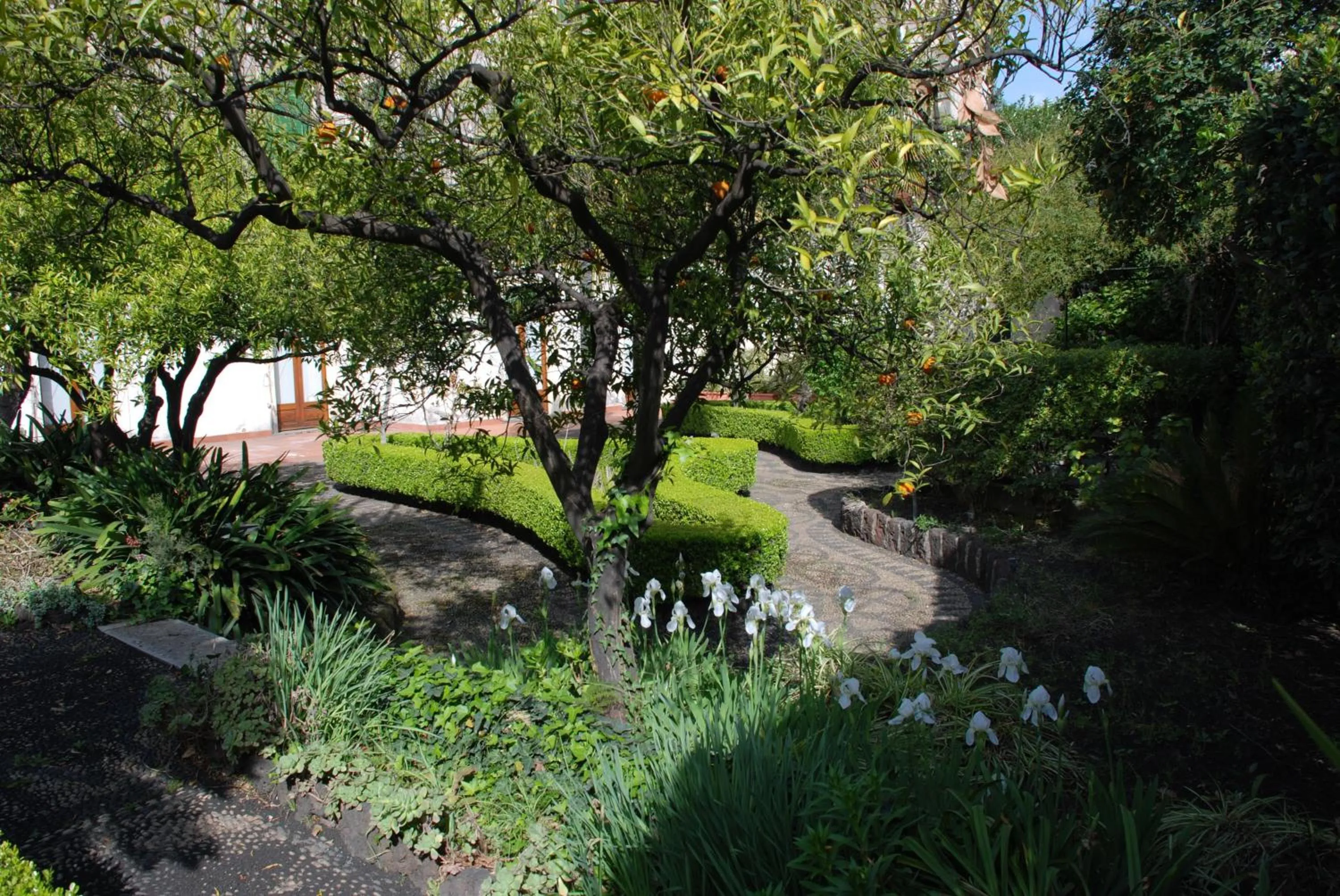 Garden view in B&B Villa Maria