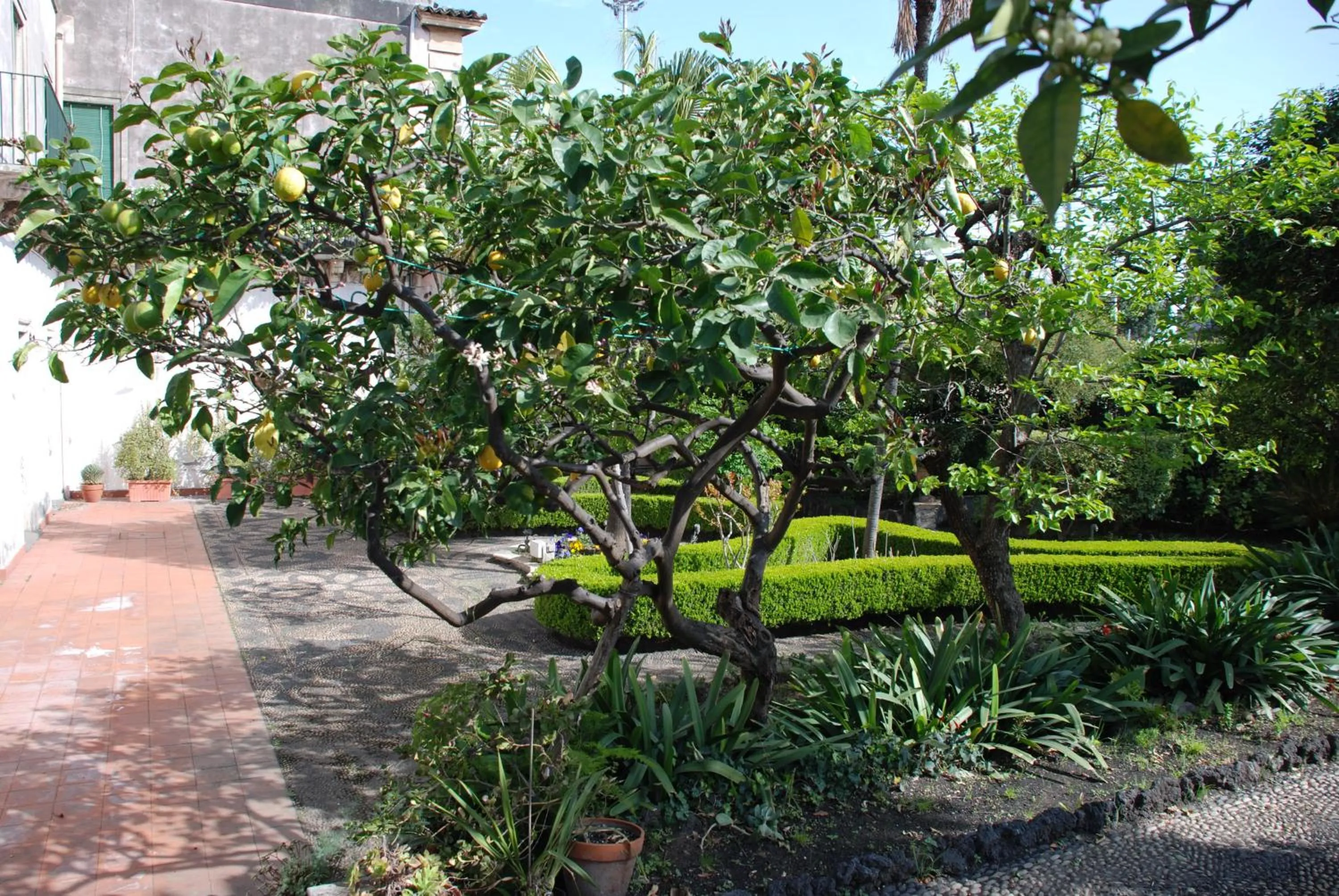 Garden in B&B Villa Maria