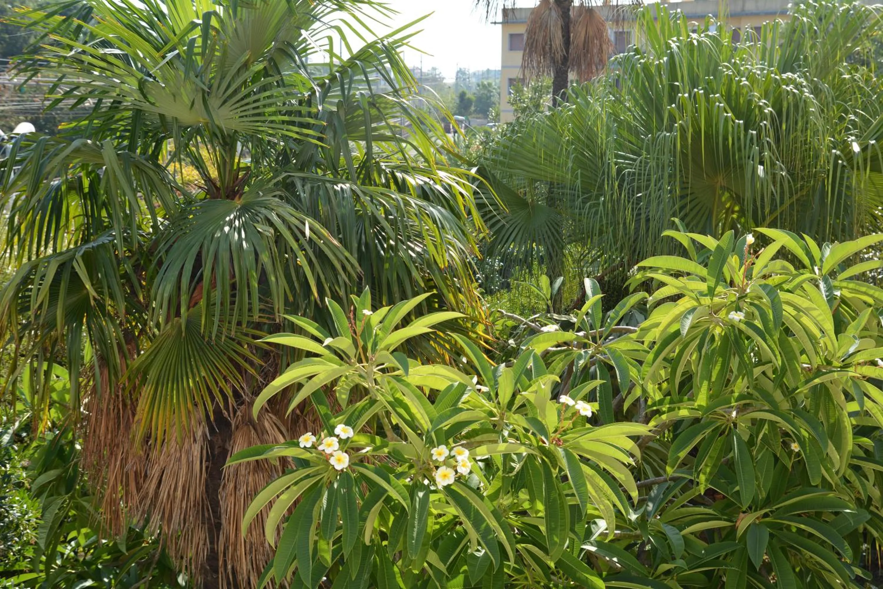 Garden in B&B Villa Maria