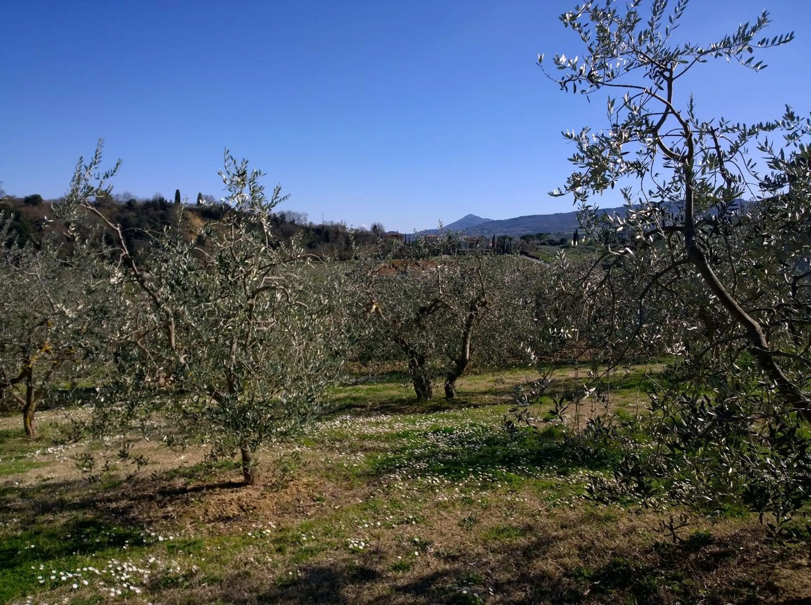Day in Madonna della Rosa