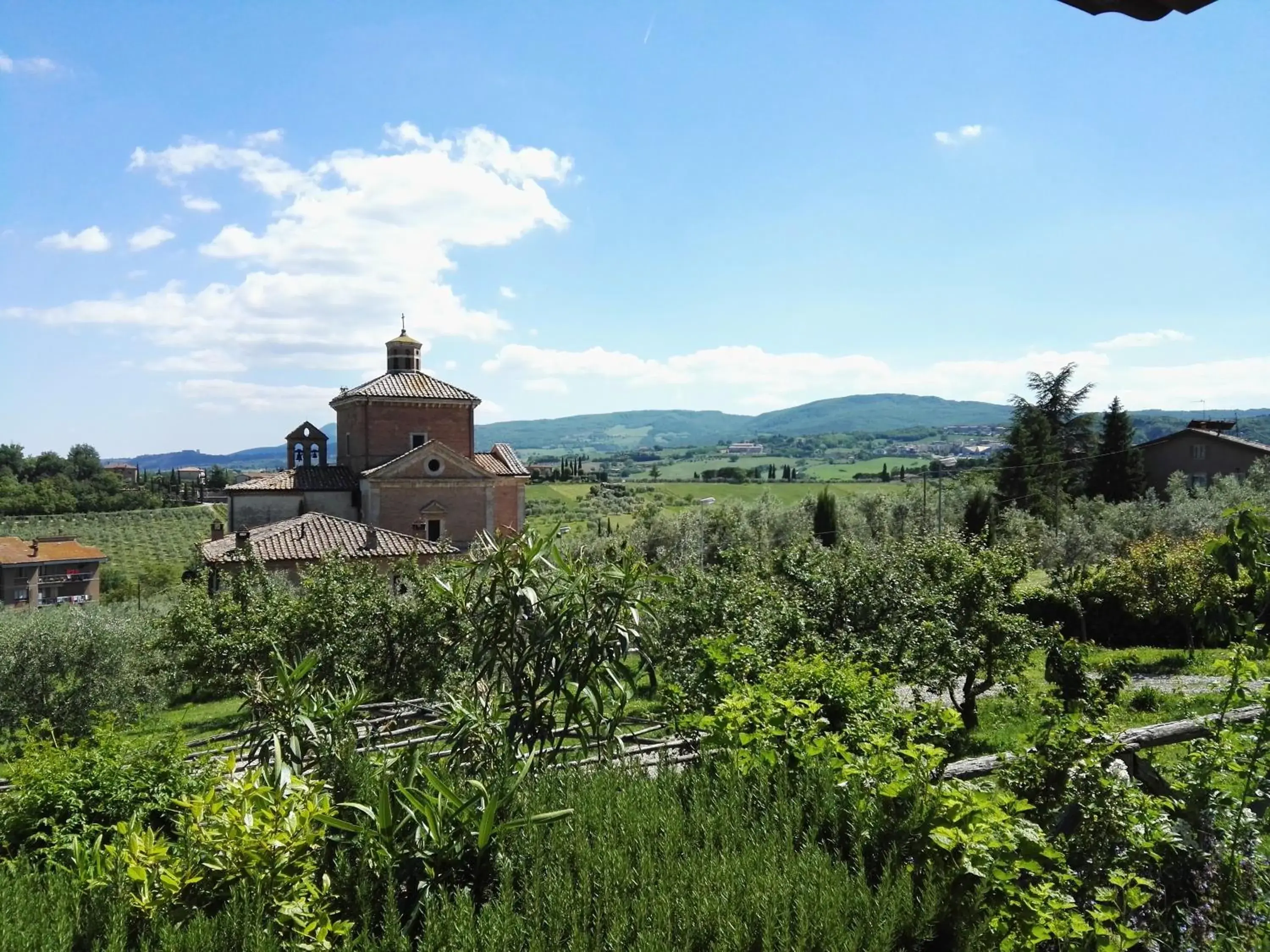 Madonna della Rosa Madonna della Rosa