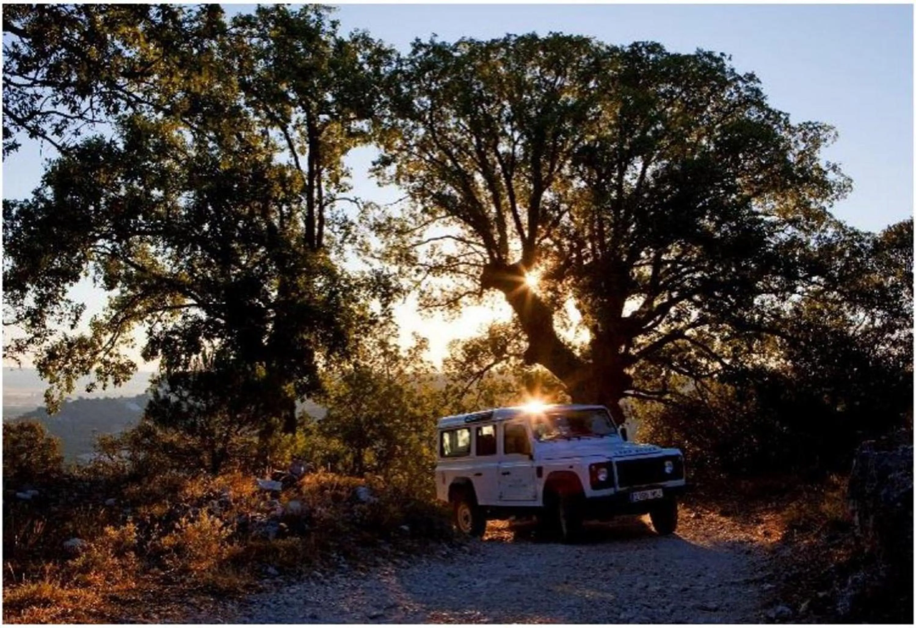 Activities in Abadia Retuerta LeDomaine