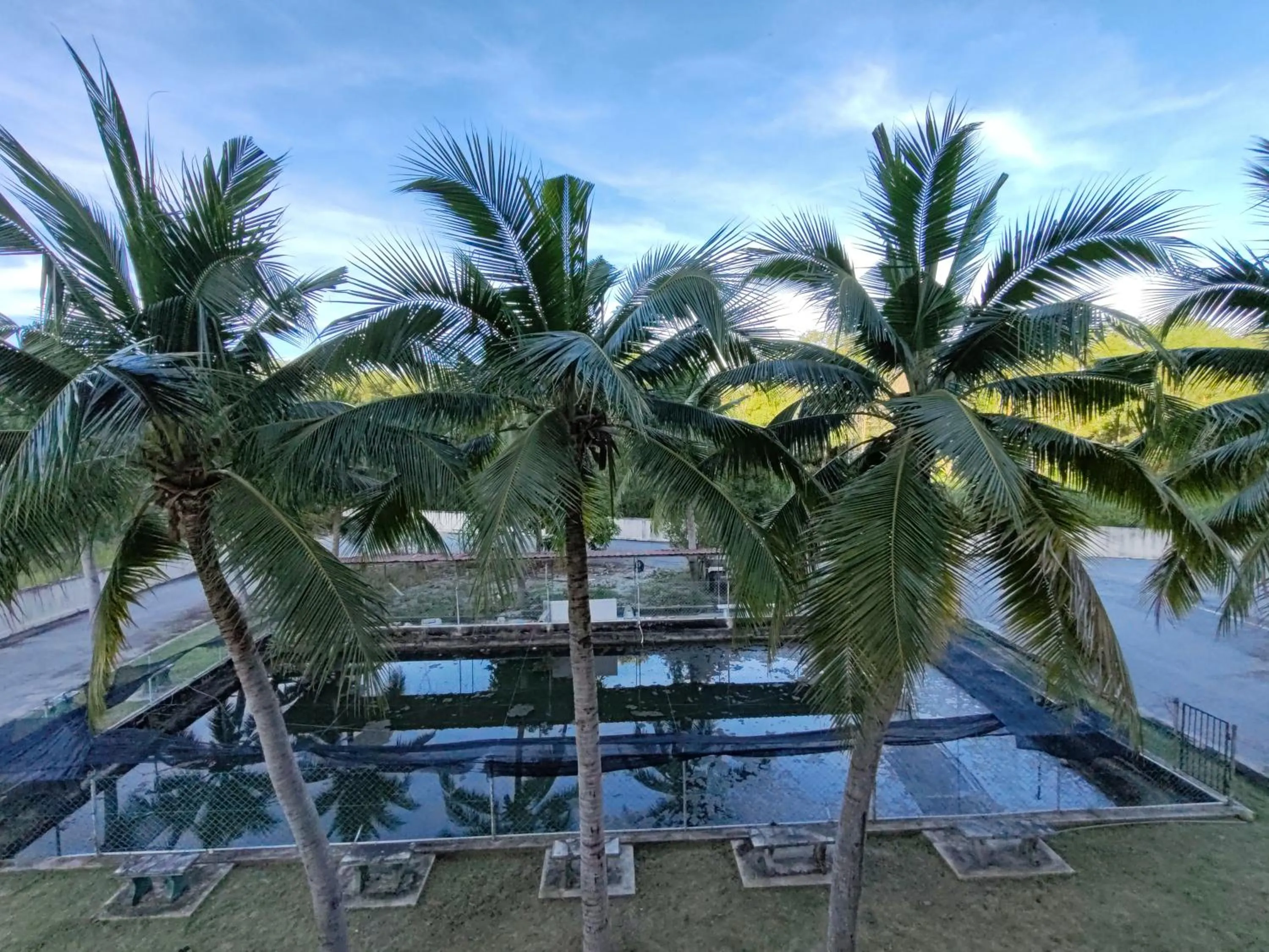 Natural landscape in Lumut Villa Inn Homestay