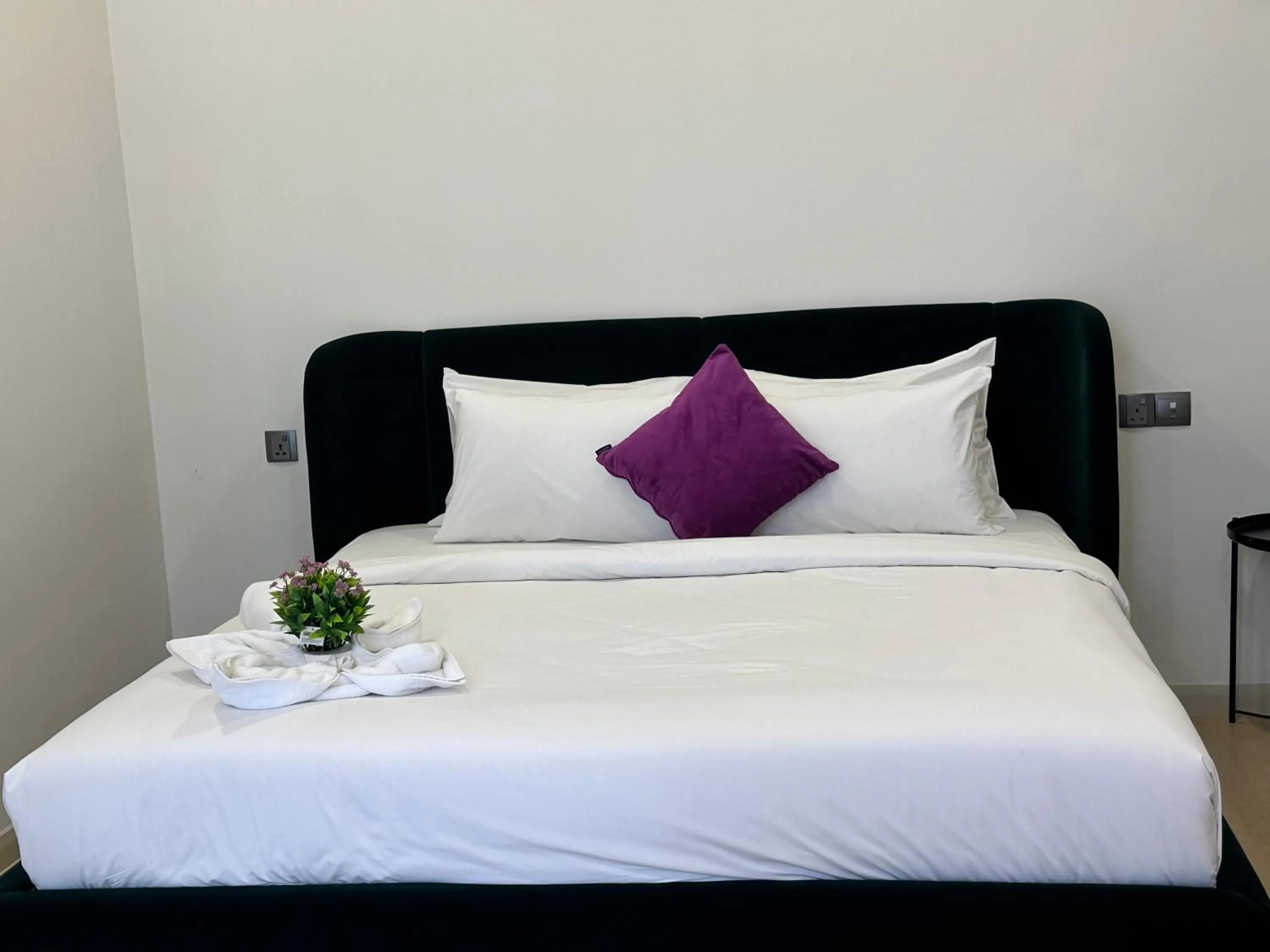 Penthouse Apartment in Star Residence KLCC By FZB