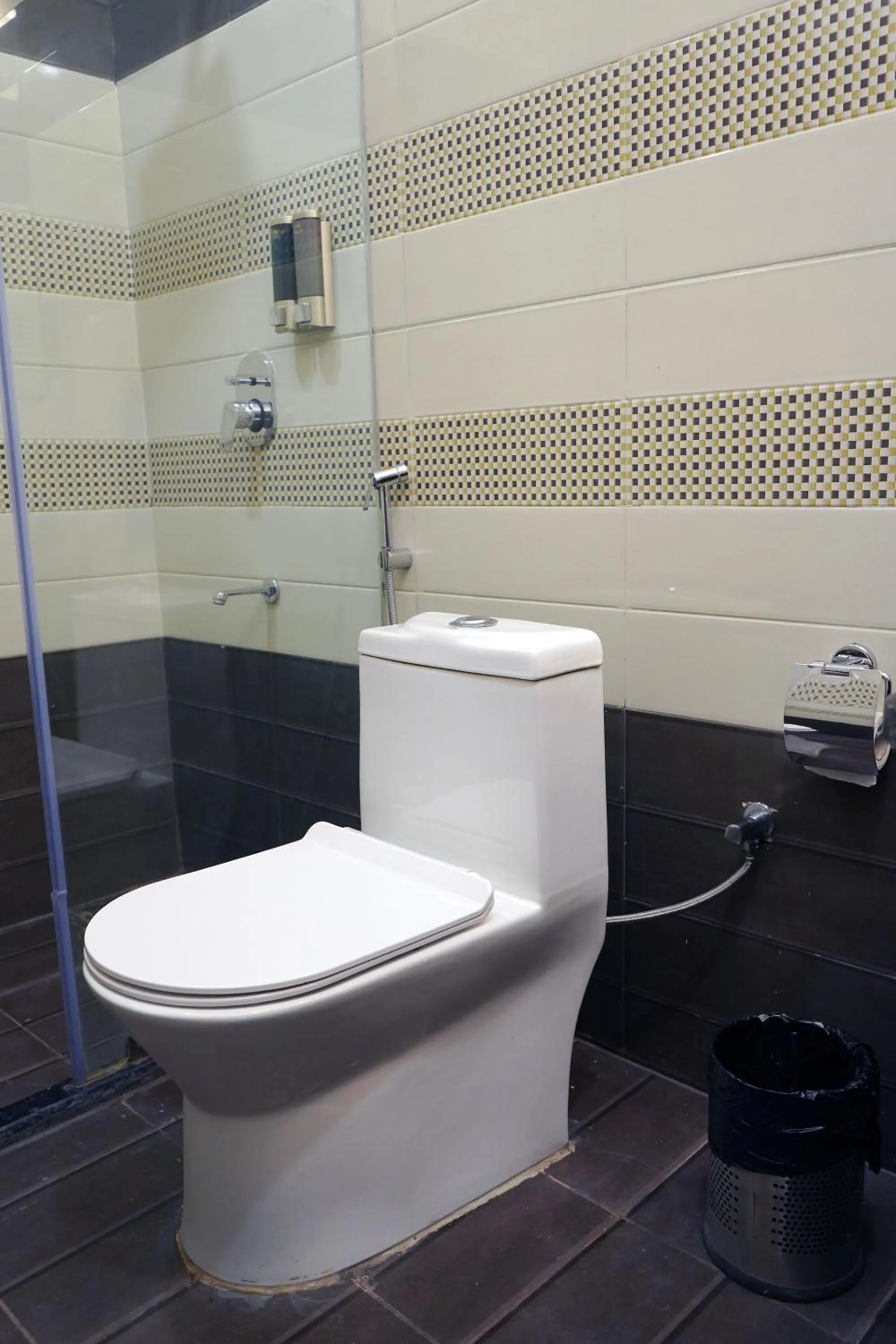 Toilet in ShriGo Hotel Banaras