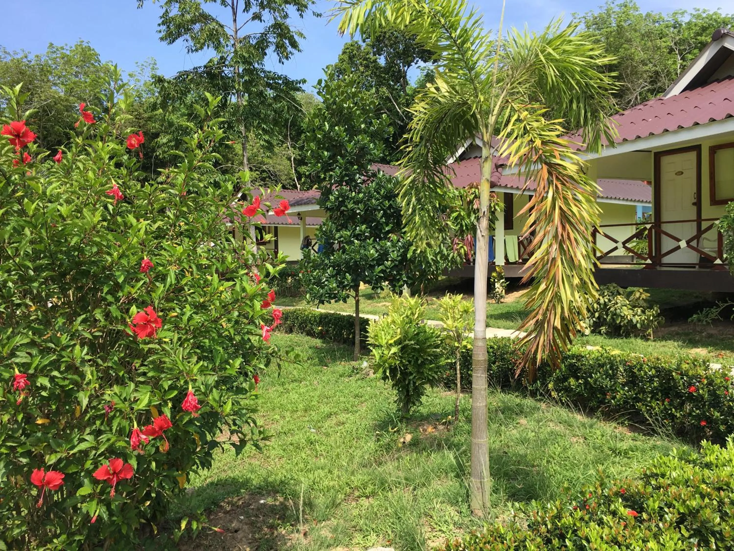 Garden in Mookies Bungalows