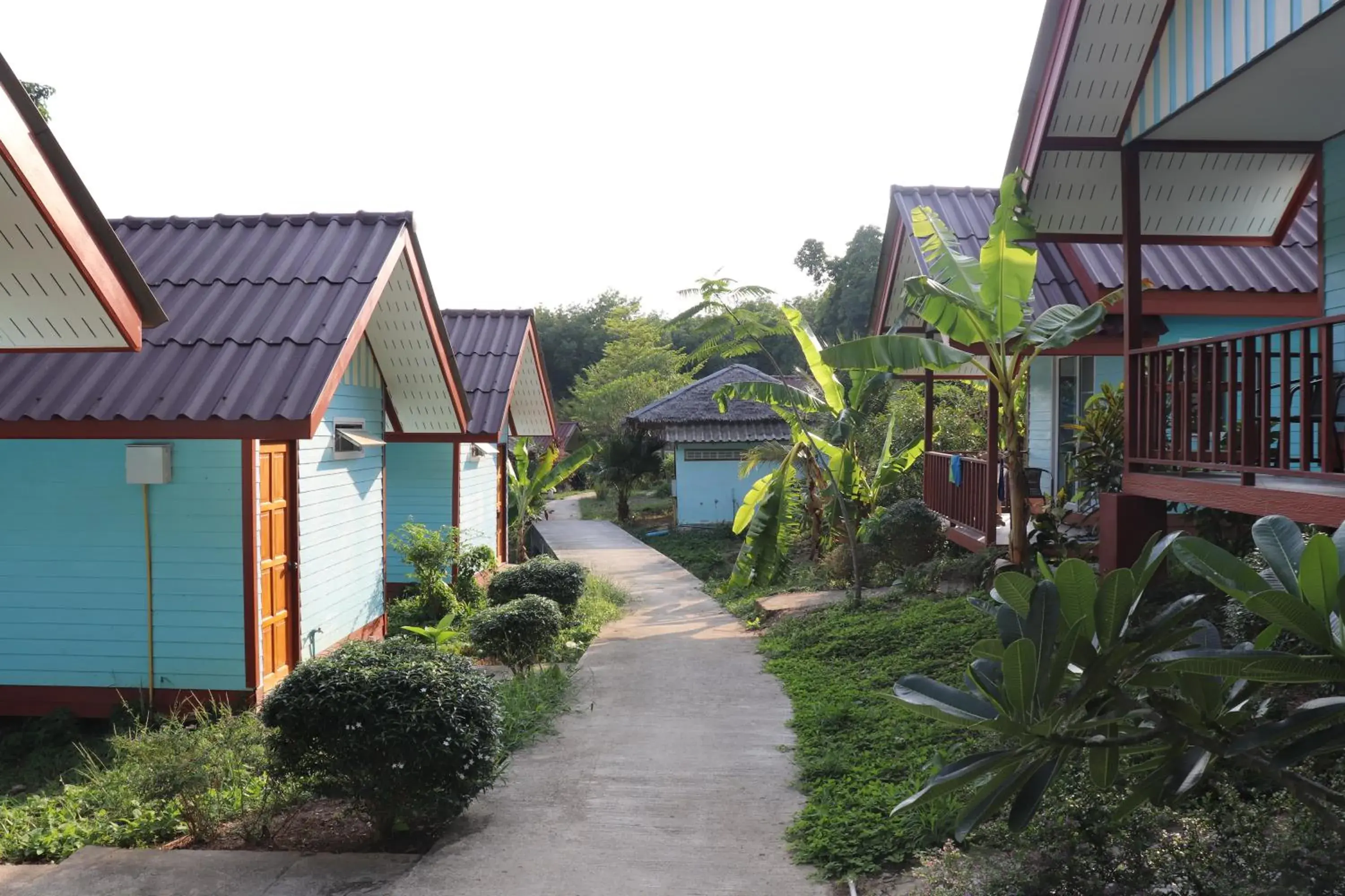 Garden in Mookies Bungalows Garden in Mookies Bungalows