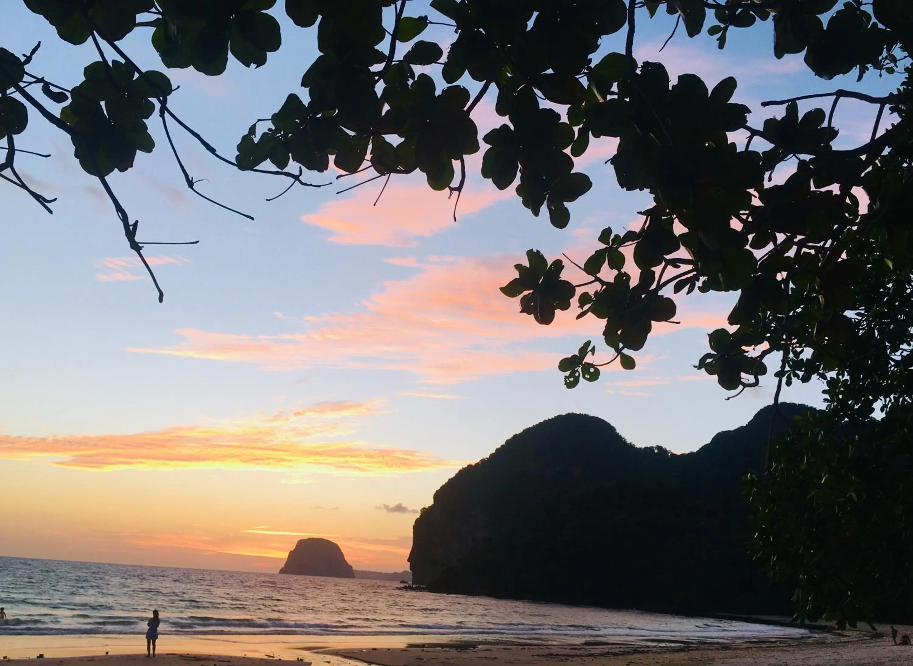 Natural landscape in Mookies Bungalows