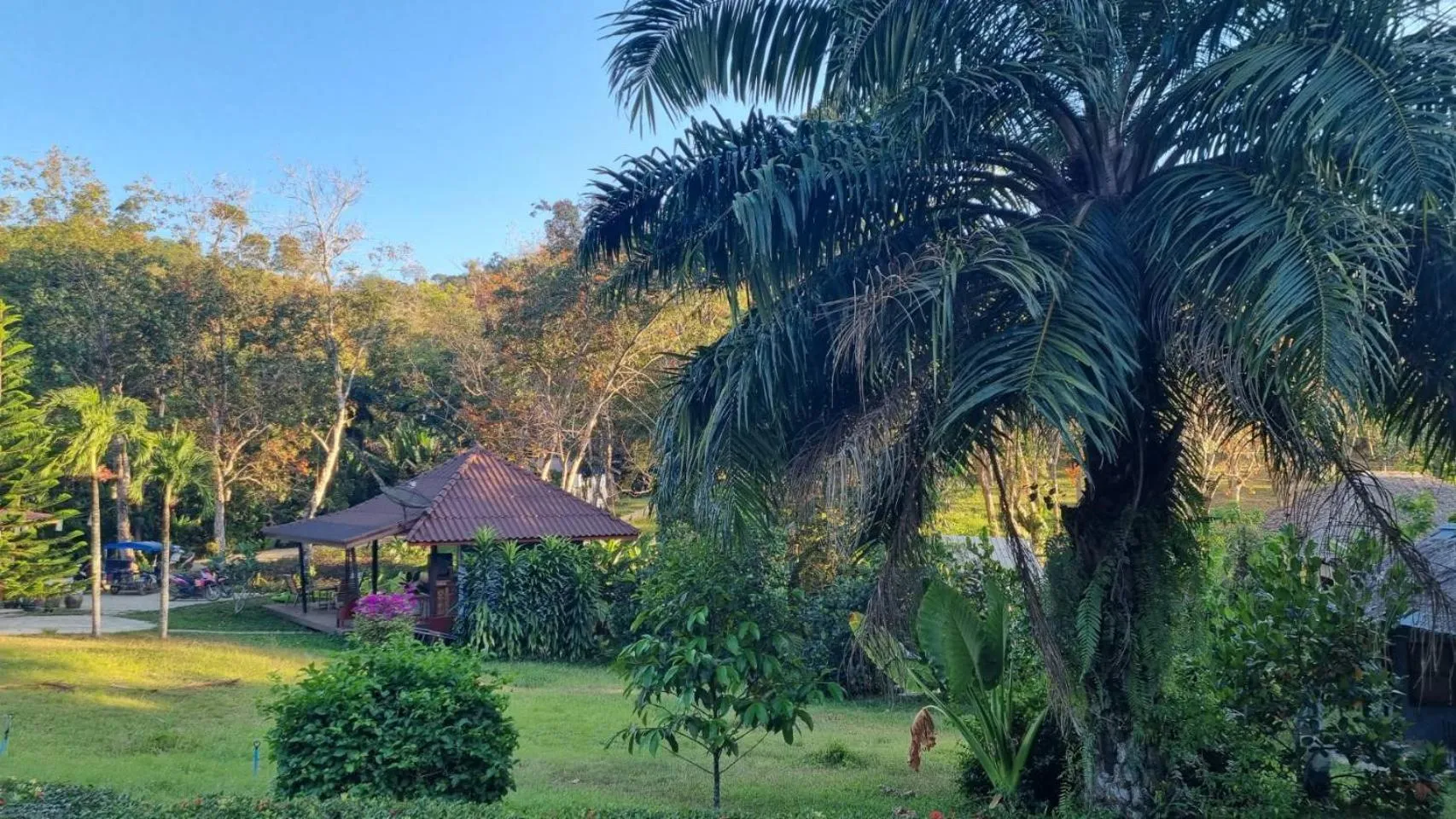 Garden in Mookies Bungalows