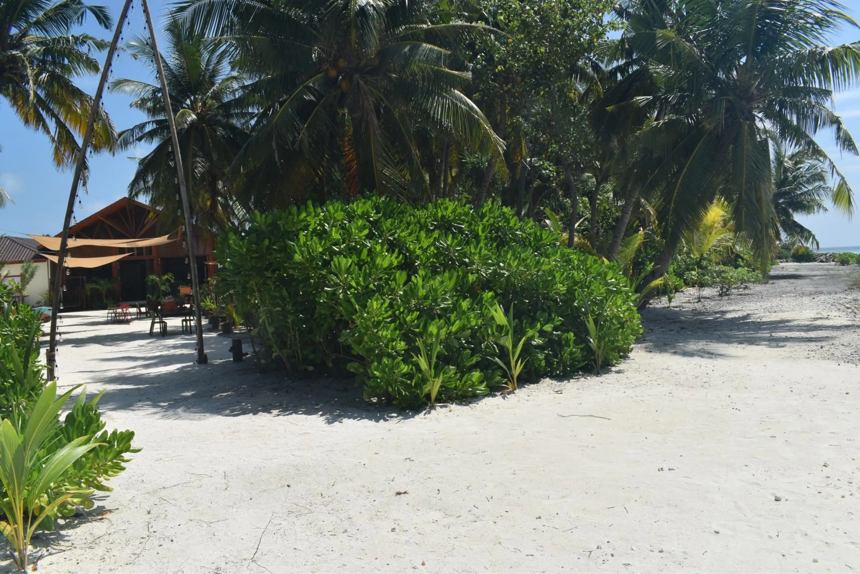 Rattehi Inn at Rakeedhoo