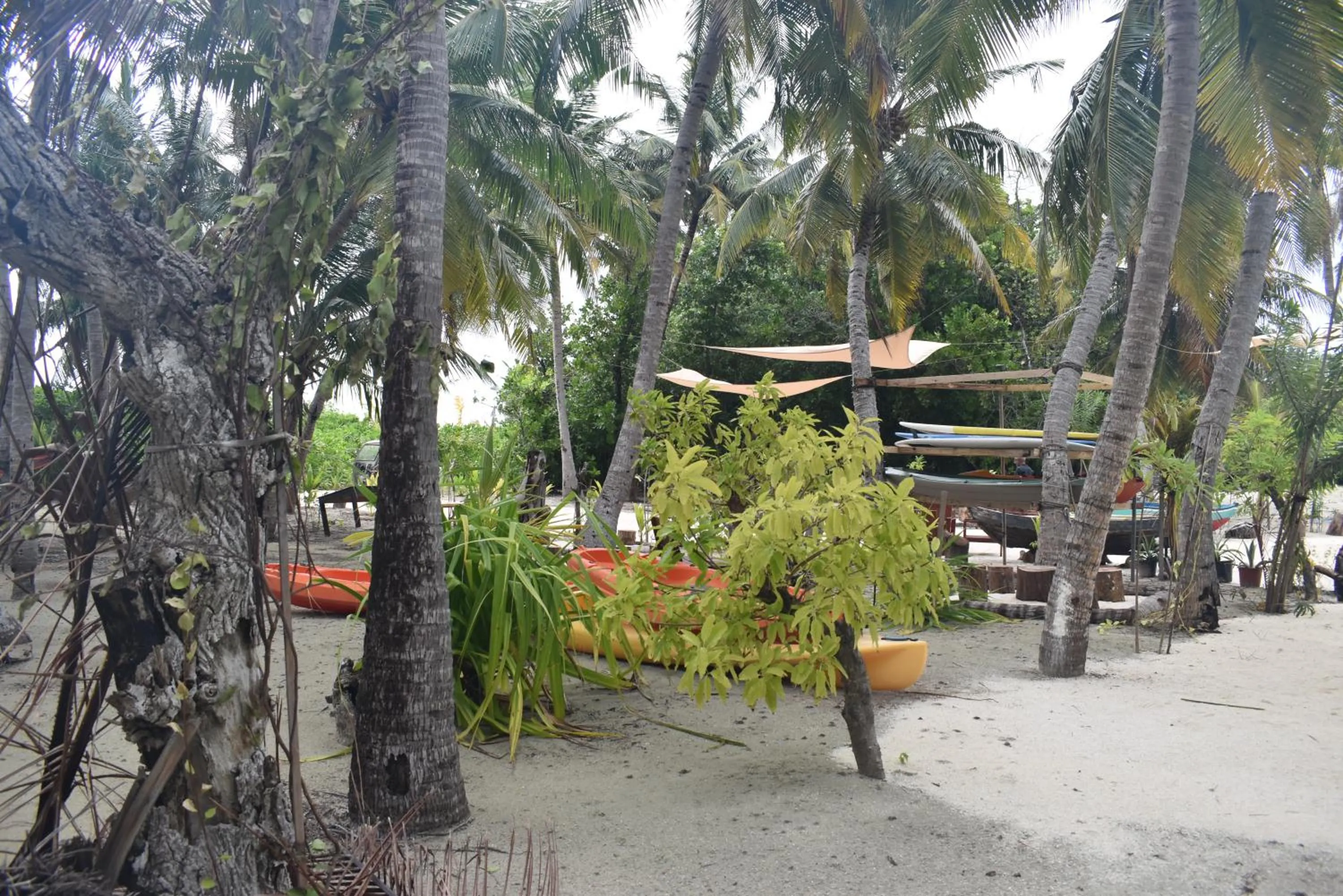 Rattehi Inn at Rakeedhoo