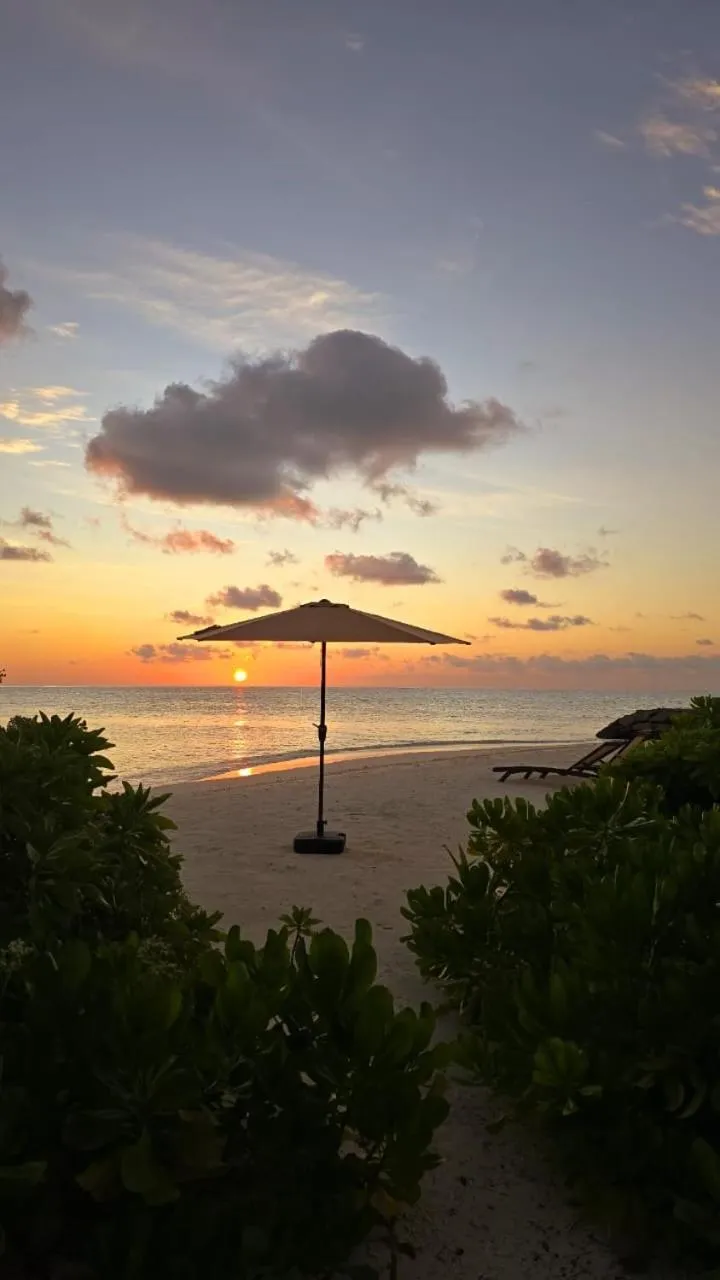 Beach in Rattehi Inn at Rakeedhoo