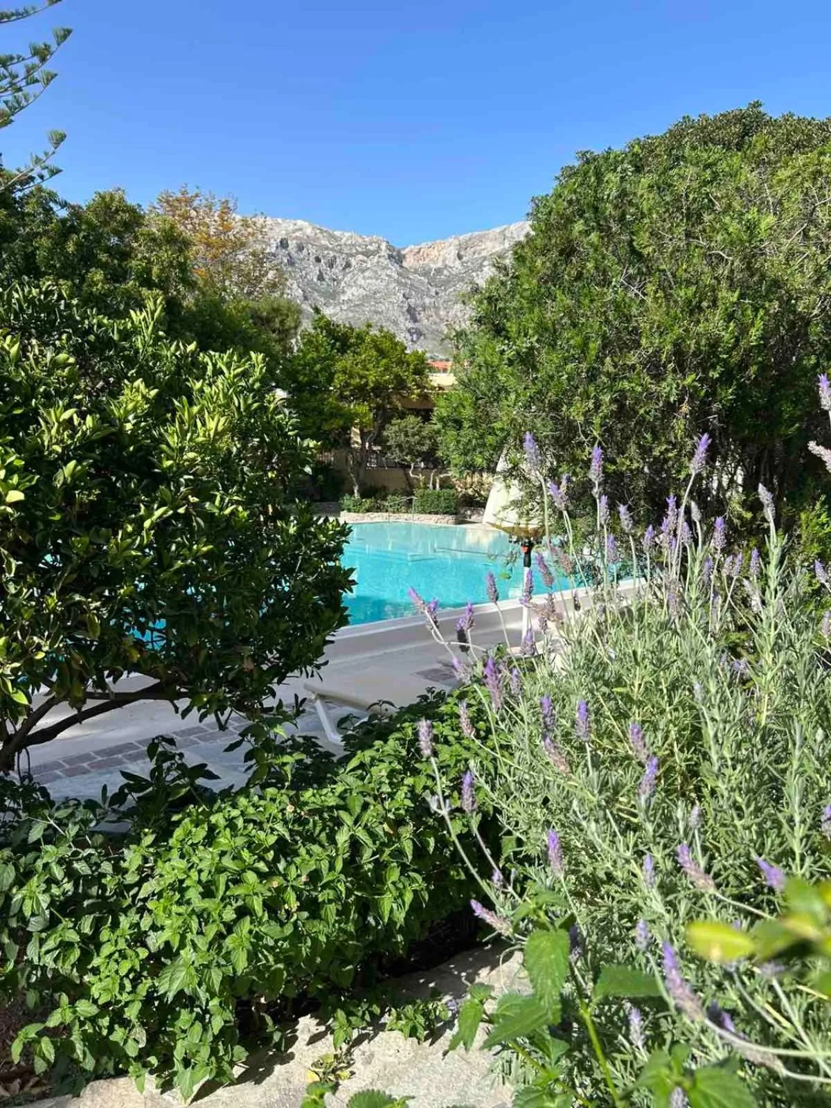 Swimming pool in Kalydna Island Hotel