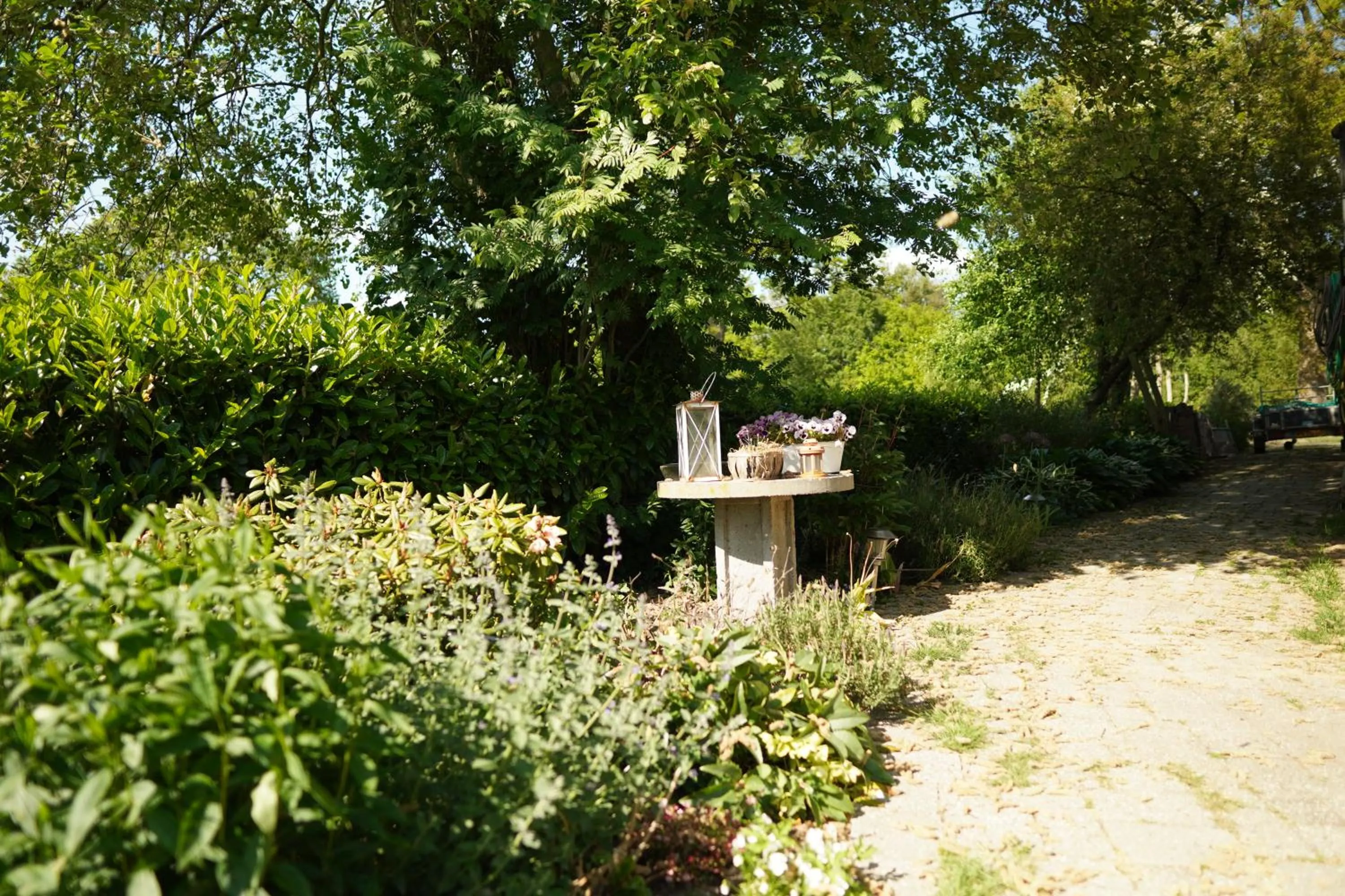 View (from property/room) in De Trouwerie