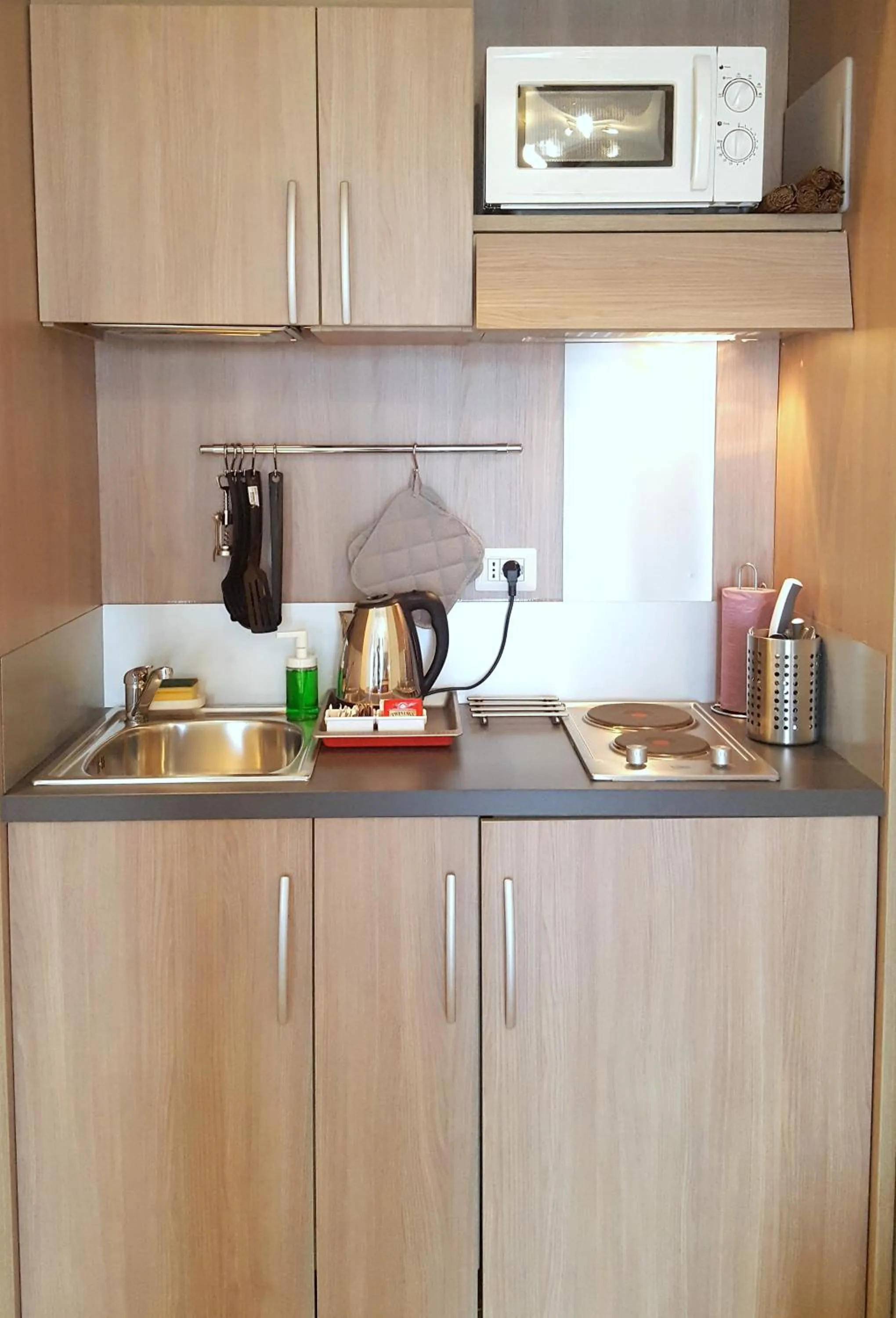 Kitchen or kitchenette in Hotel Luxor Florence