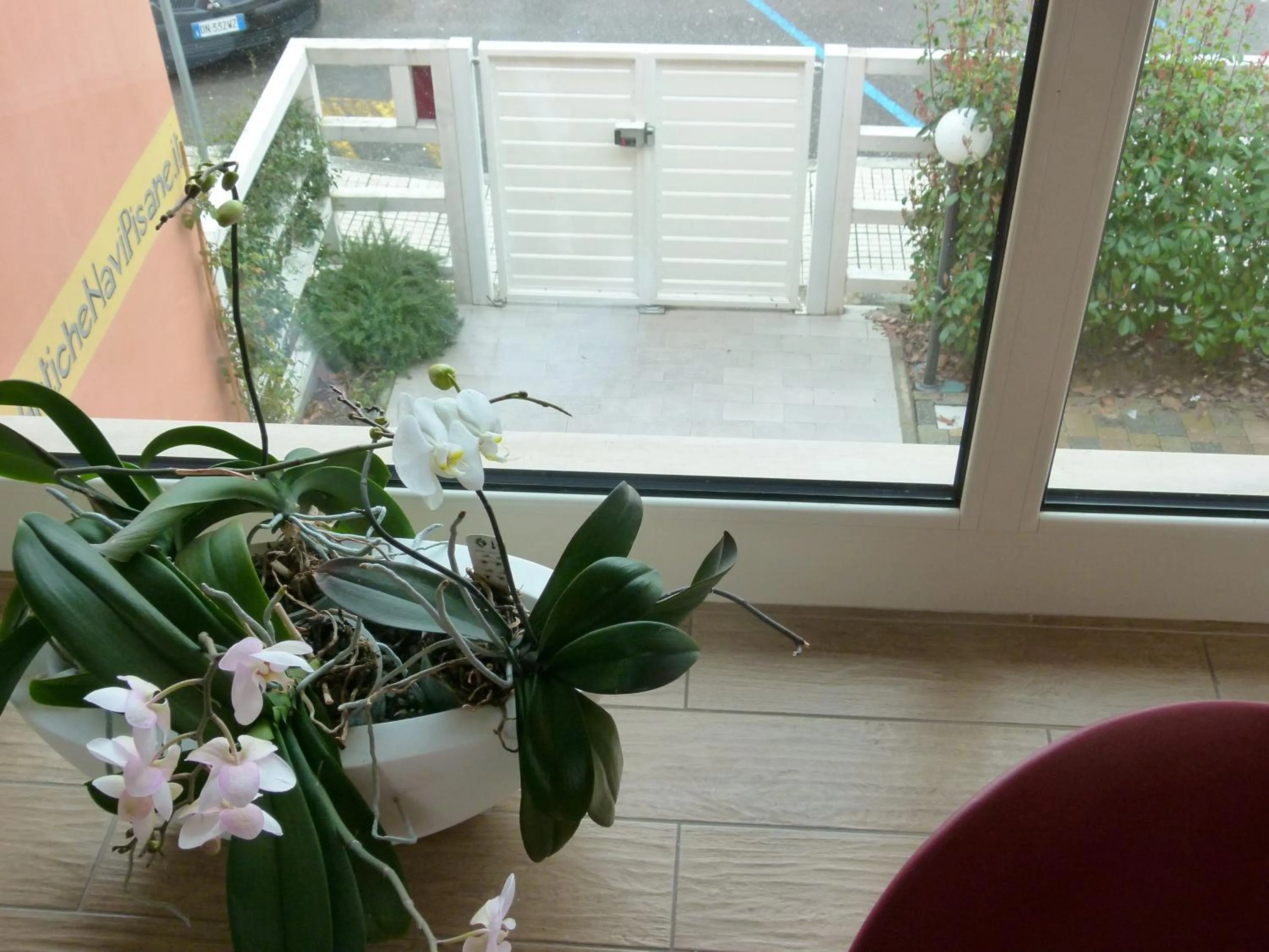 Decorative detail in Vele Storiche Pisane - free private parking