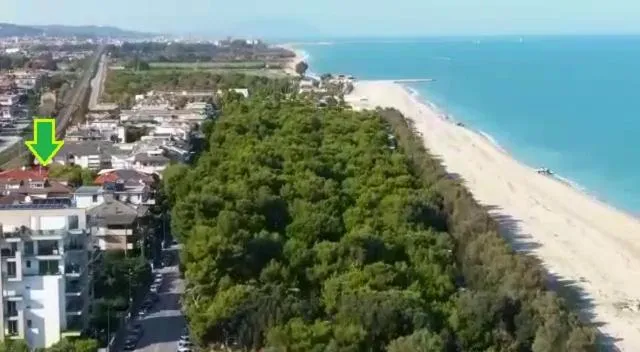 Natural landscape in B&B Villino Giovanna Wi-Fi AC Prima fila mare Pineta