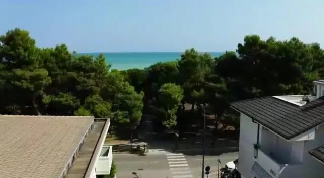 Neighbourhood in B&B Villino Giovanna Wi-Fi AC Prima fila mare Pineta