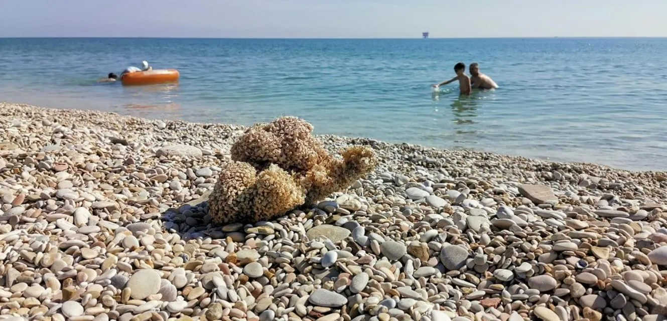 Beach in B&B Villino Giovanna Wi-Fi AC Prima fila mare Pineta