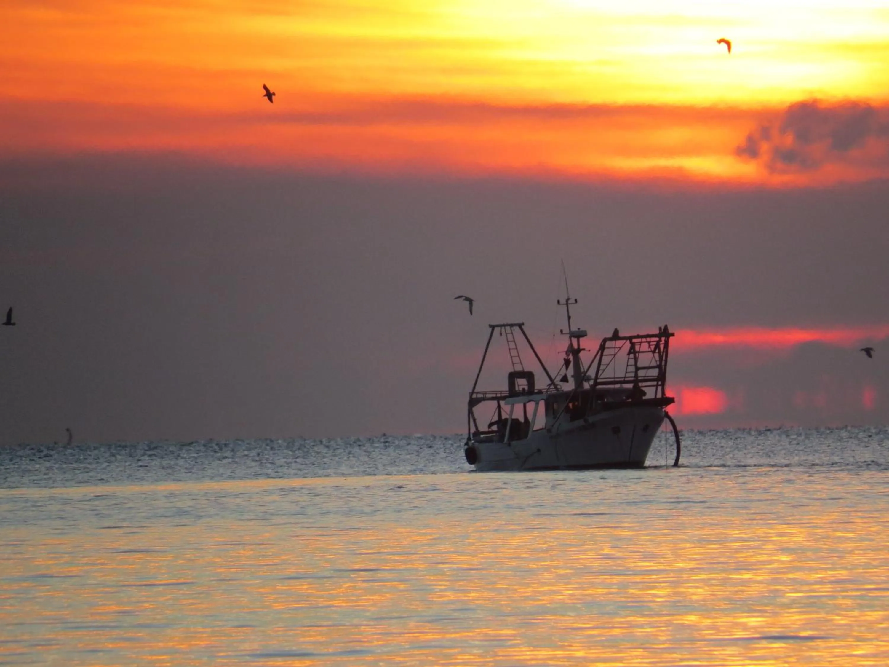 Beach in B&B Villino Giovanna Wi-Fi AC Prima fila mare Pineta