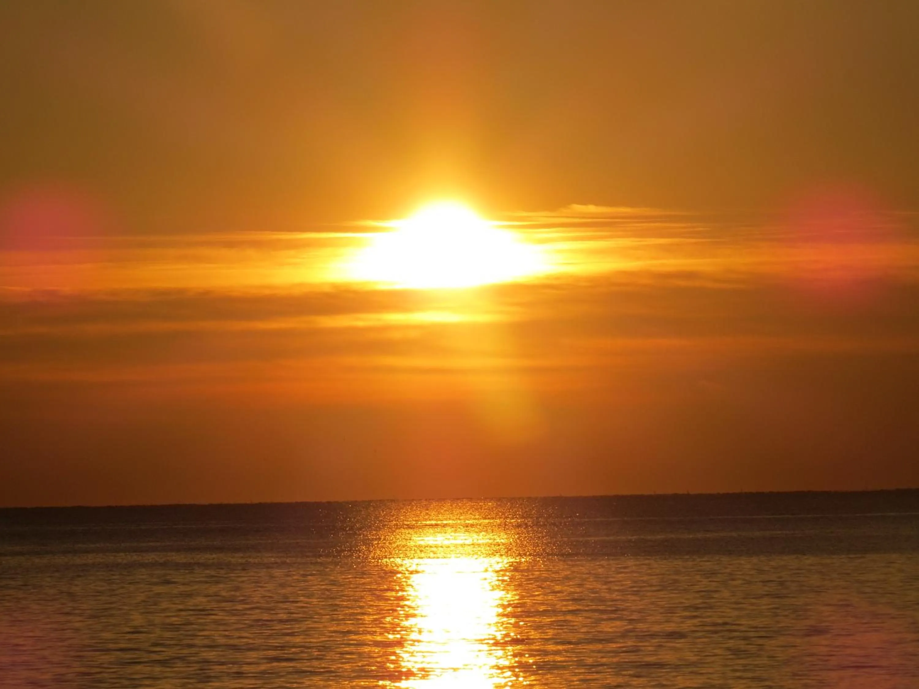 Beach in B&B Villino Giovanna Wi-Fi AC Prima fila mare Pineta