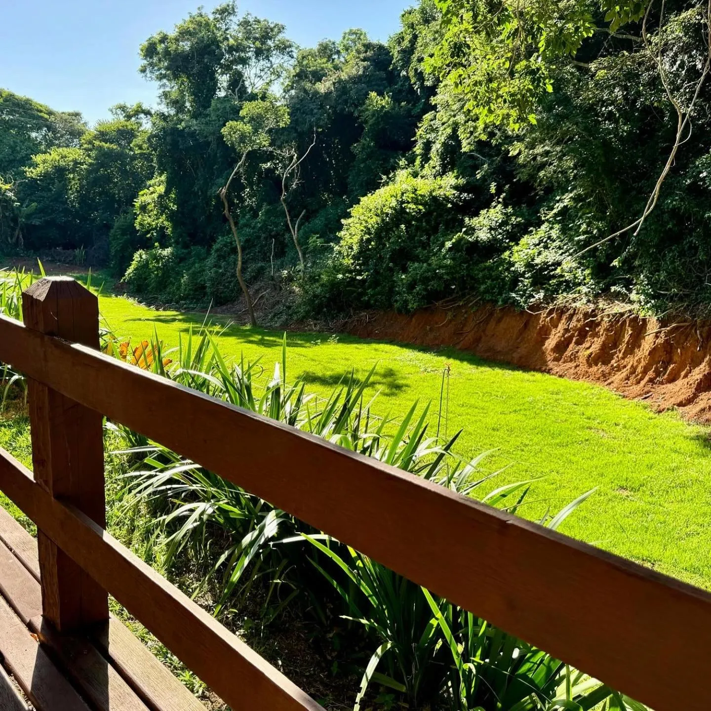 Garden in EstrelaMar Ferradura Restaurante & Spa