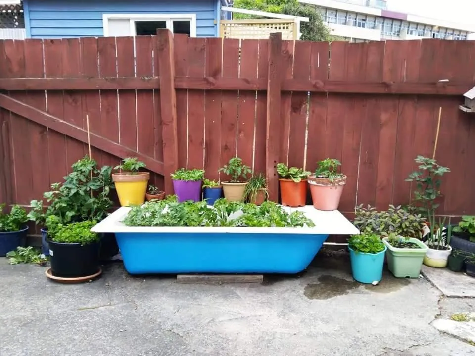 Patio in Crashpalace Napier