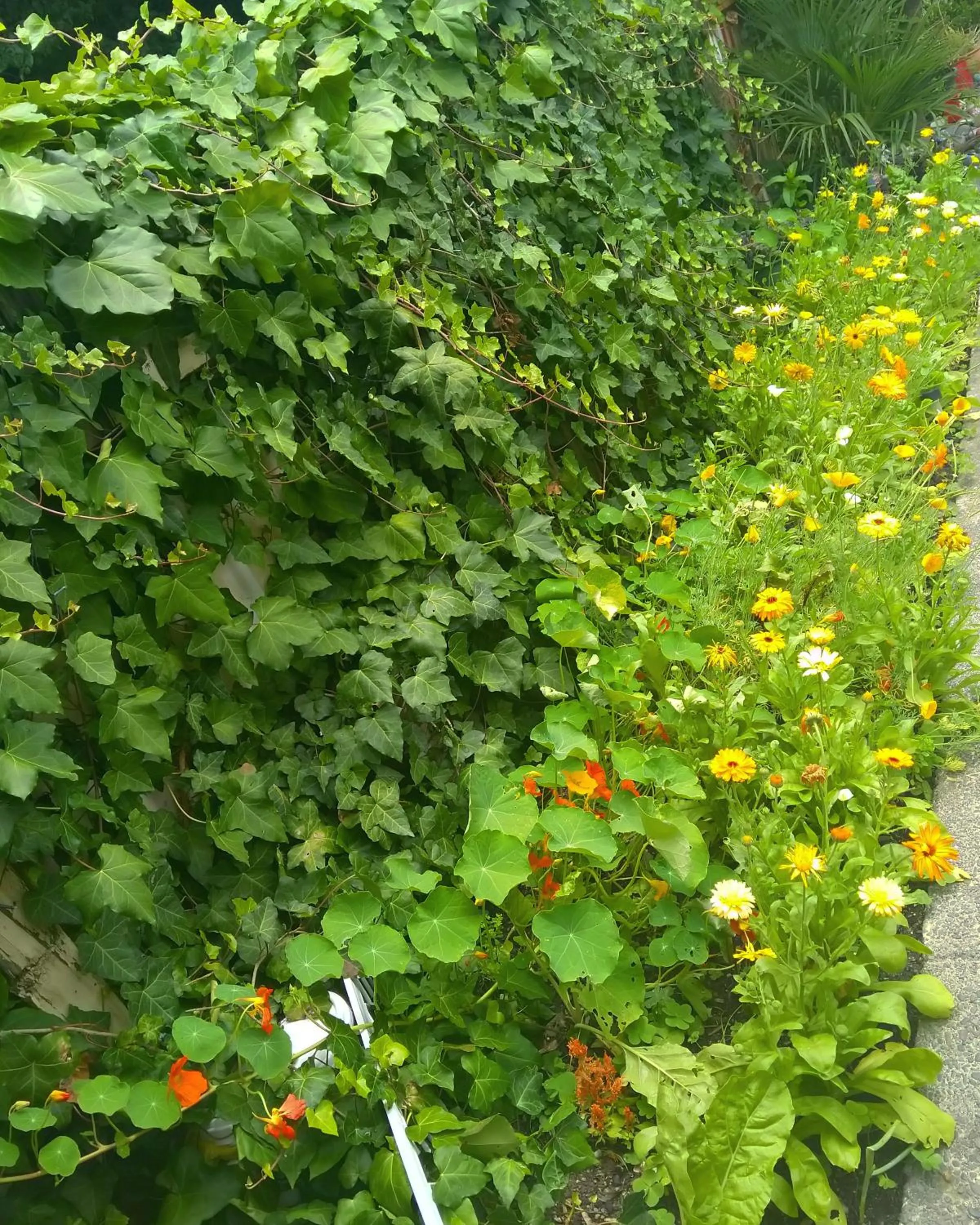 Natural landscape in Crashpalace Napier