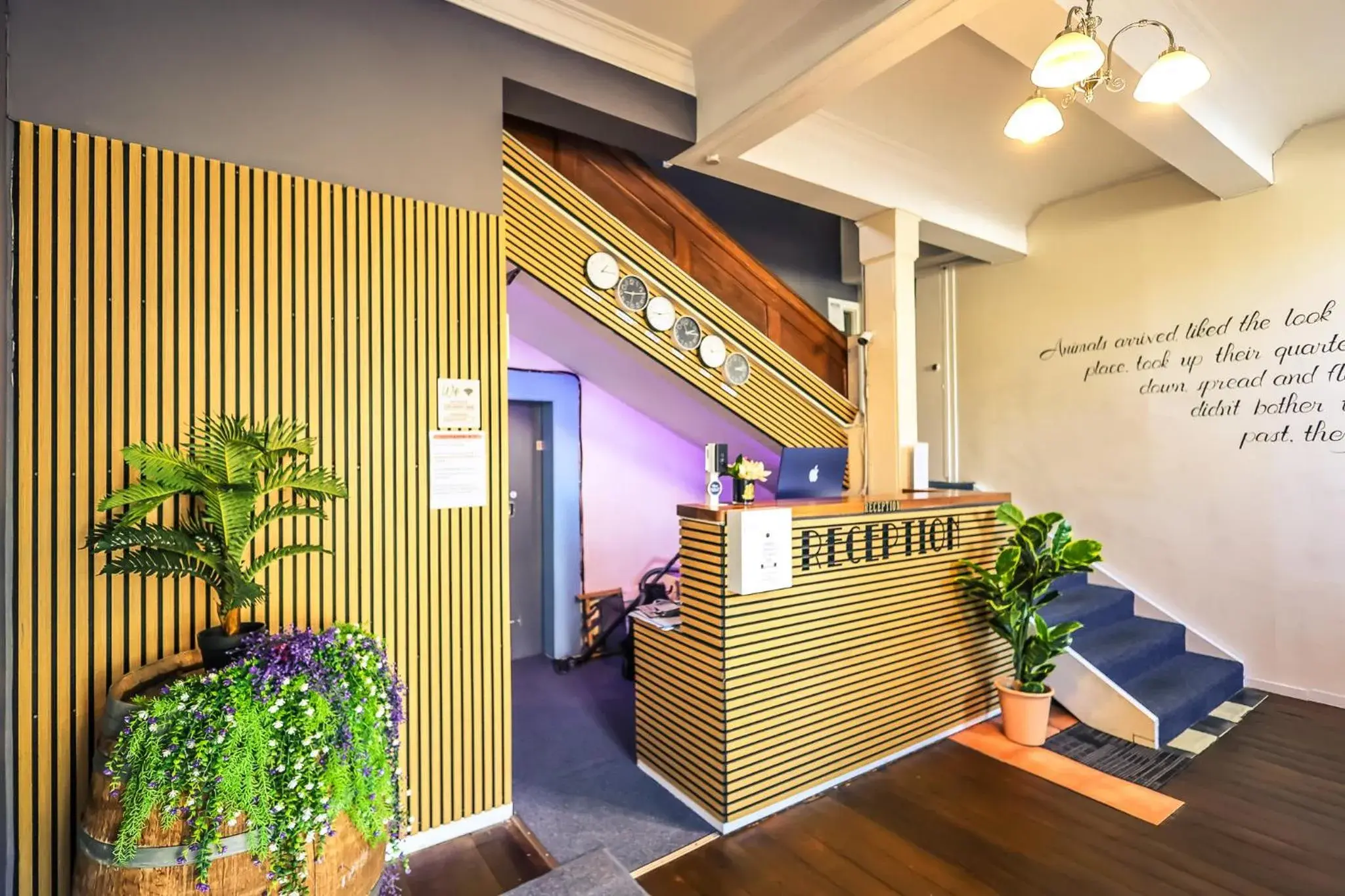 Twin Room with Shared Bathroom in Crashpalace Napier Twin Room with Shared Bathroom in Crashpalace Napier