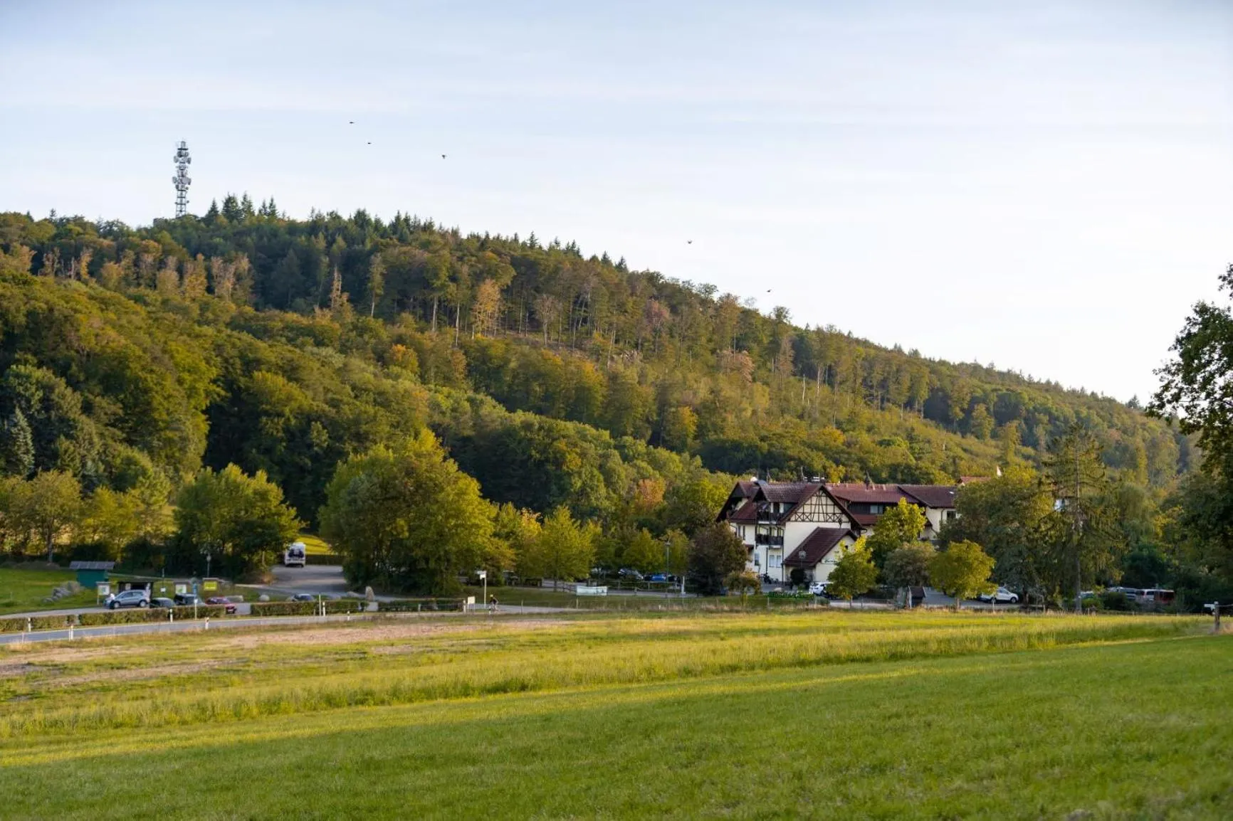 Natural landscape in Landhotel Kuralpe Kreuzhof