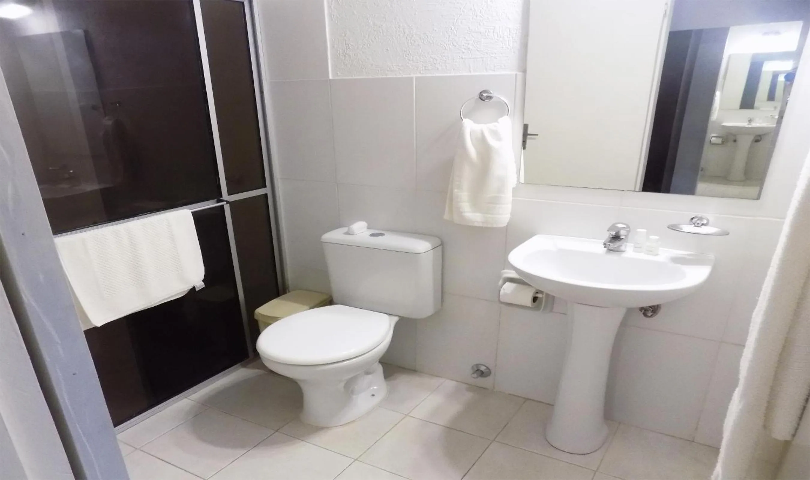 Bathroom in Danieri Asunción Hotel