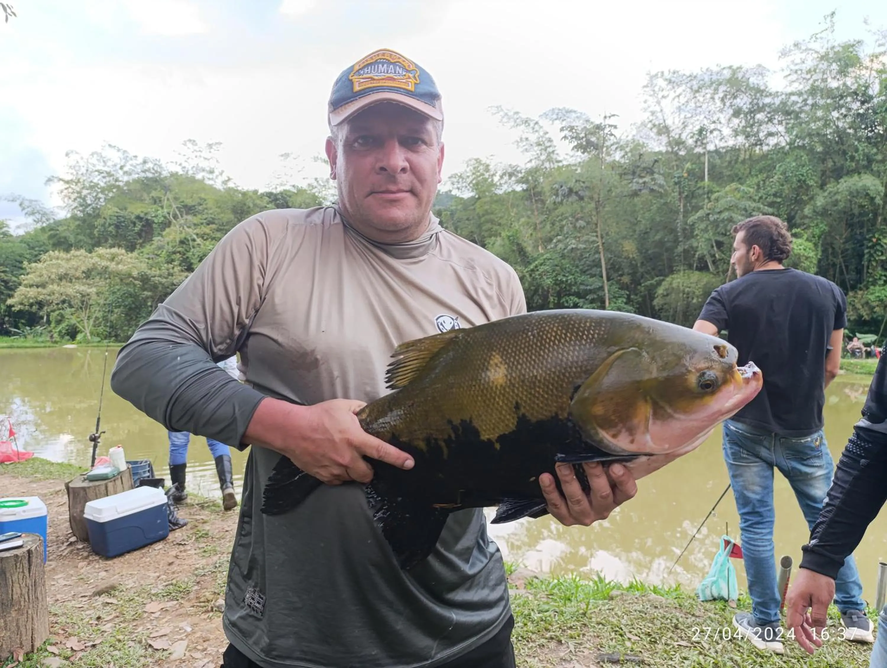 Acualandia Fish
