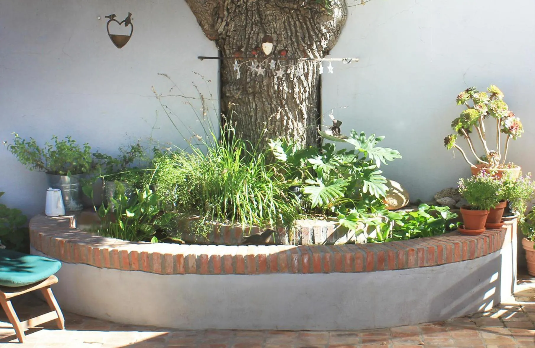 Garden in Himmelblau Boutique Bed and Breakfast