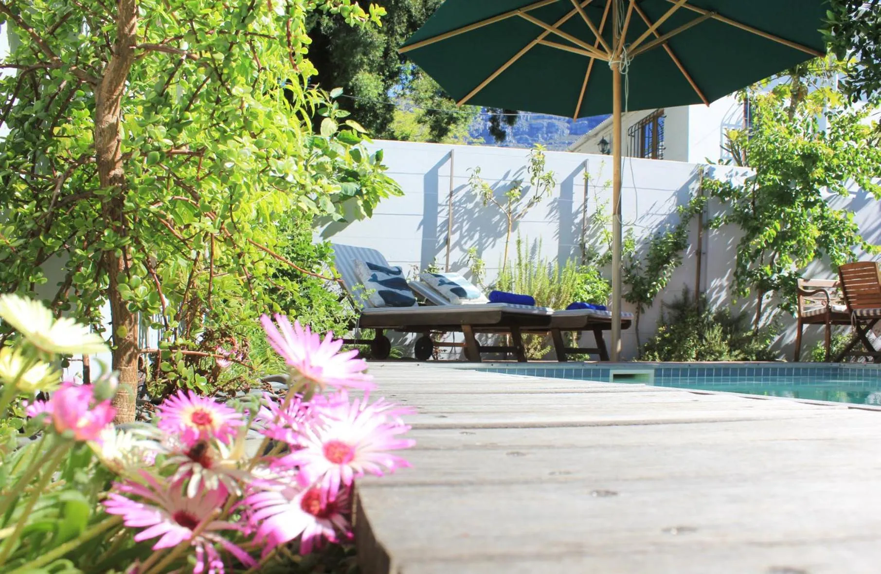 Garden in Himmelblau Boutique Bed and Breakfast