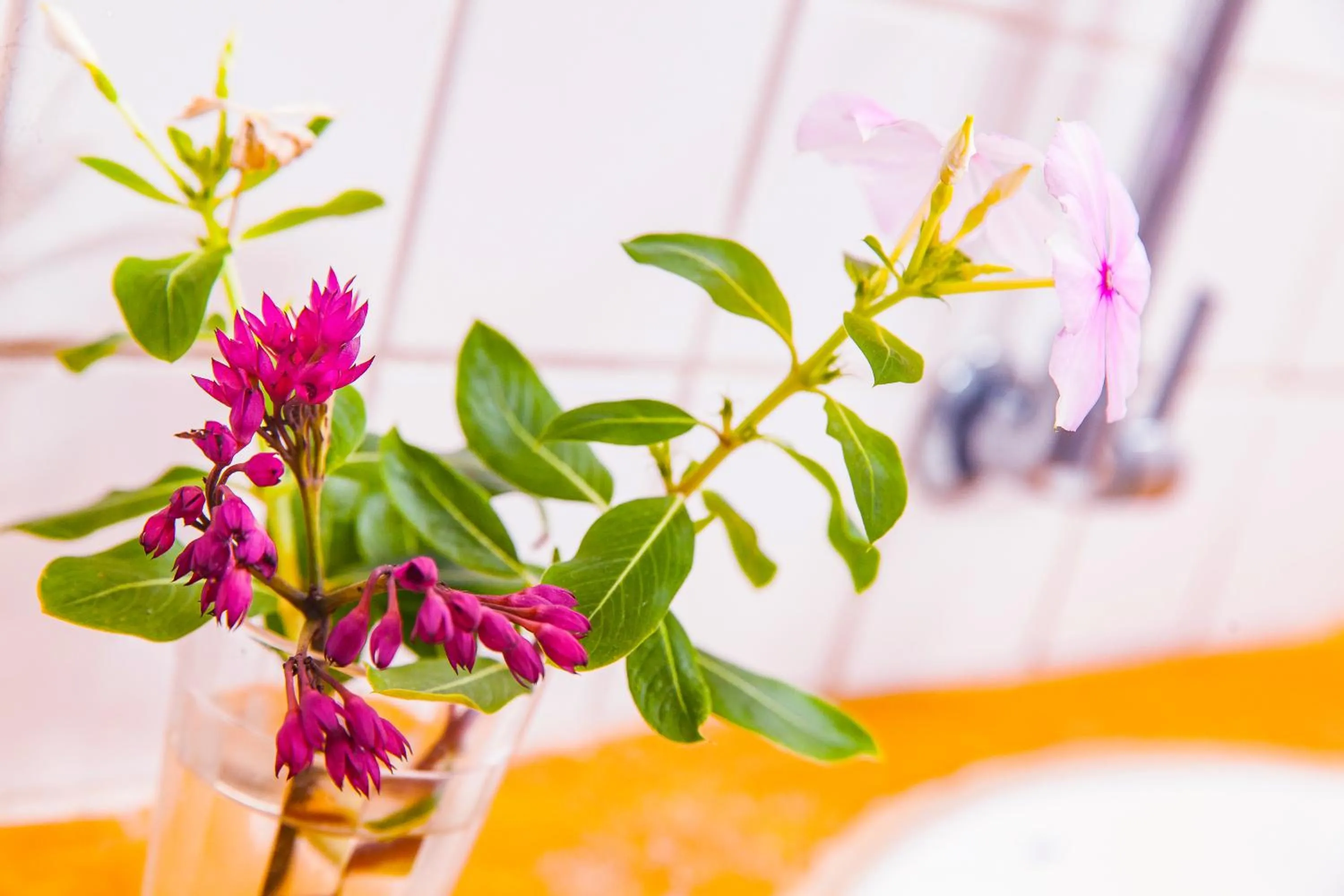 Bathroom in Pousada Do Guga