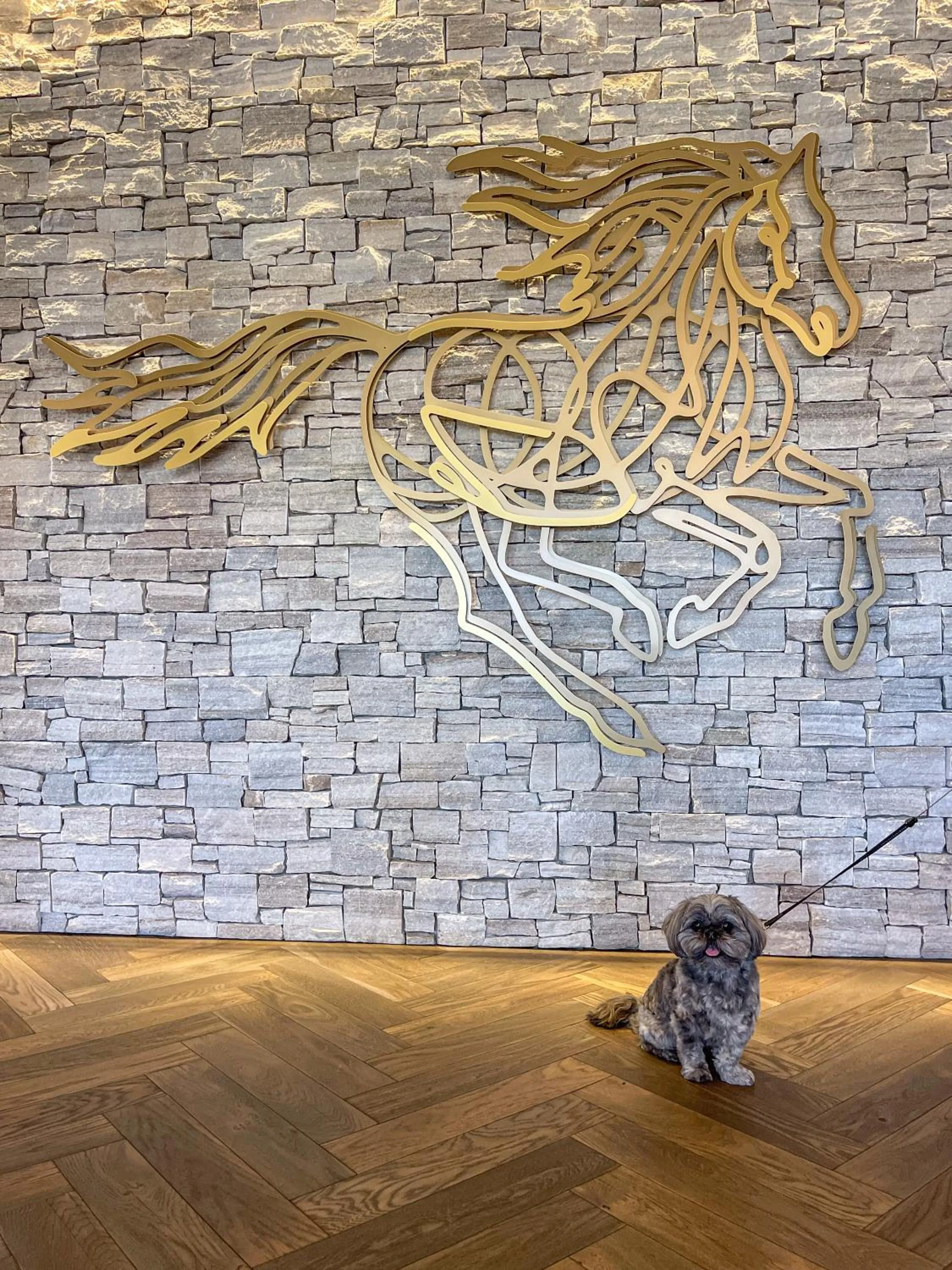 Pets in Flying Horse Resort & Club