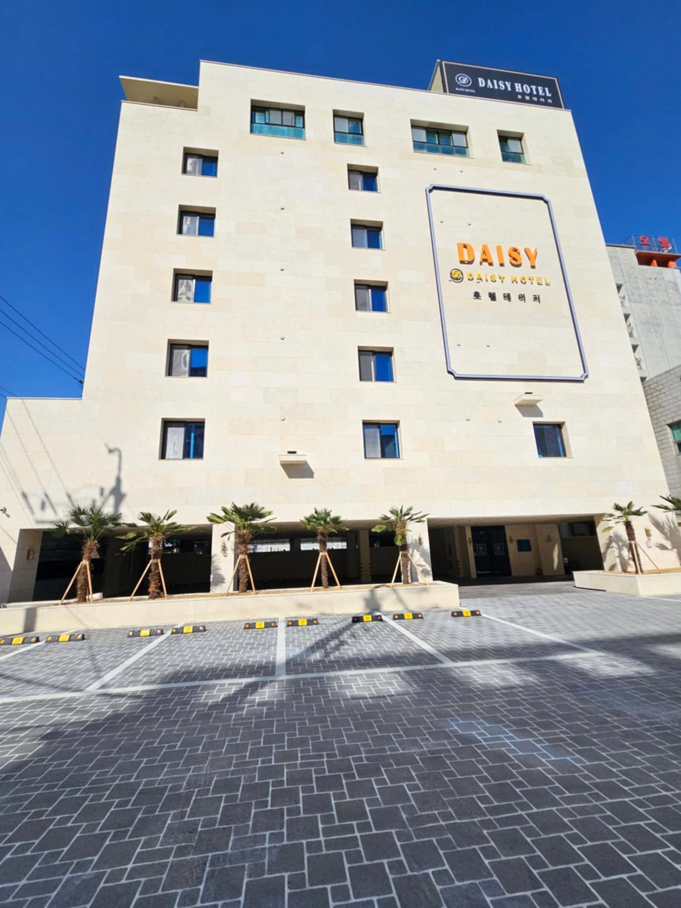 Daisy hotel